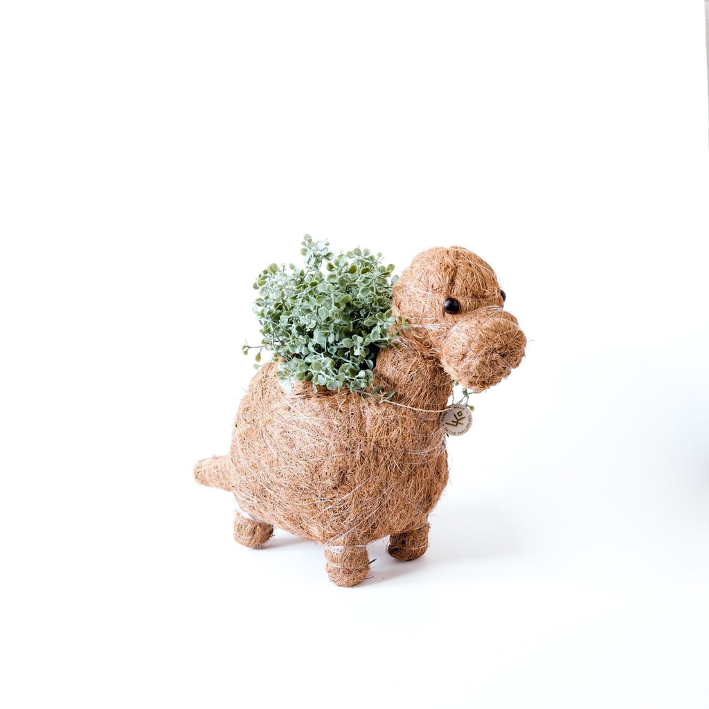 LIKHÂ Brontosaurus Planter - Coco Coir Pots | LIKHÂ