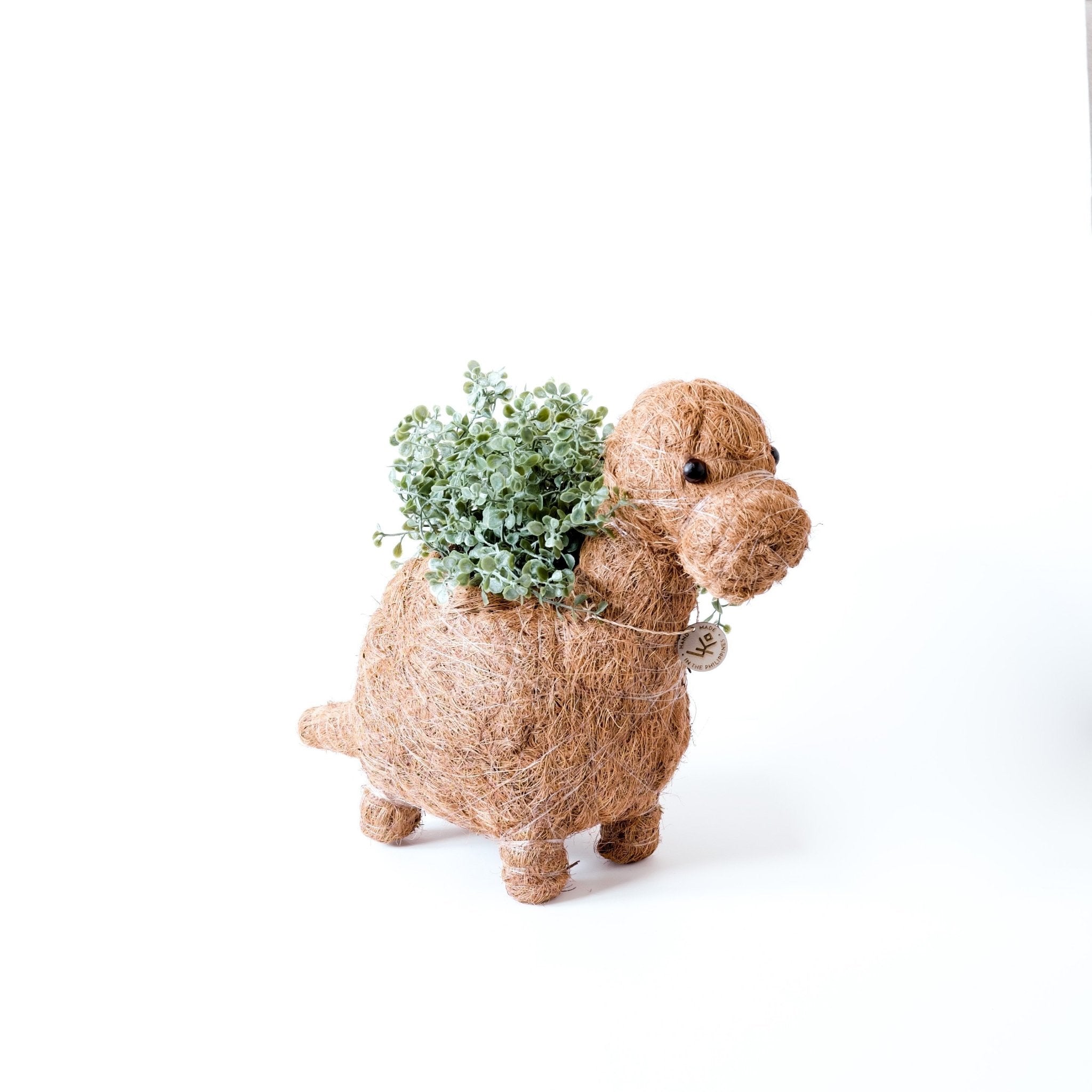 LIKHÂ Brontosaurus Planter - Coco Coir Pots | LIKHÂ