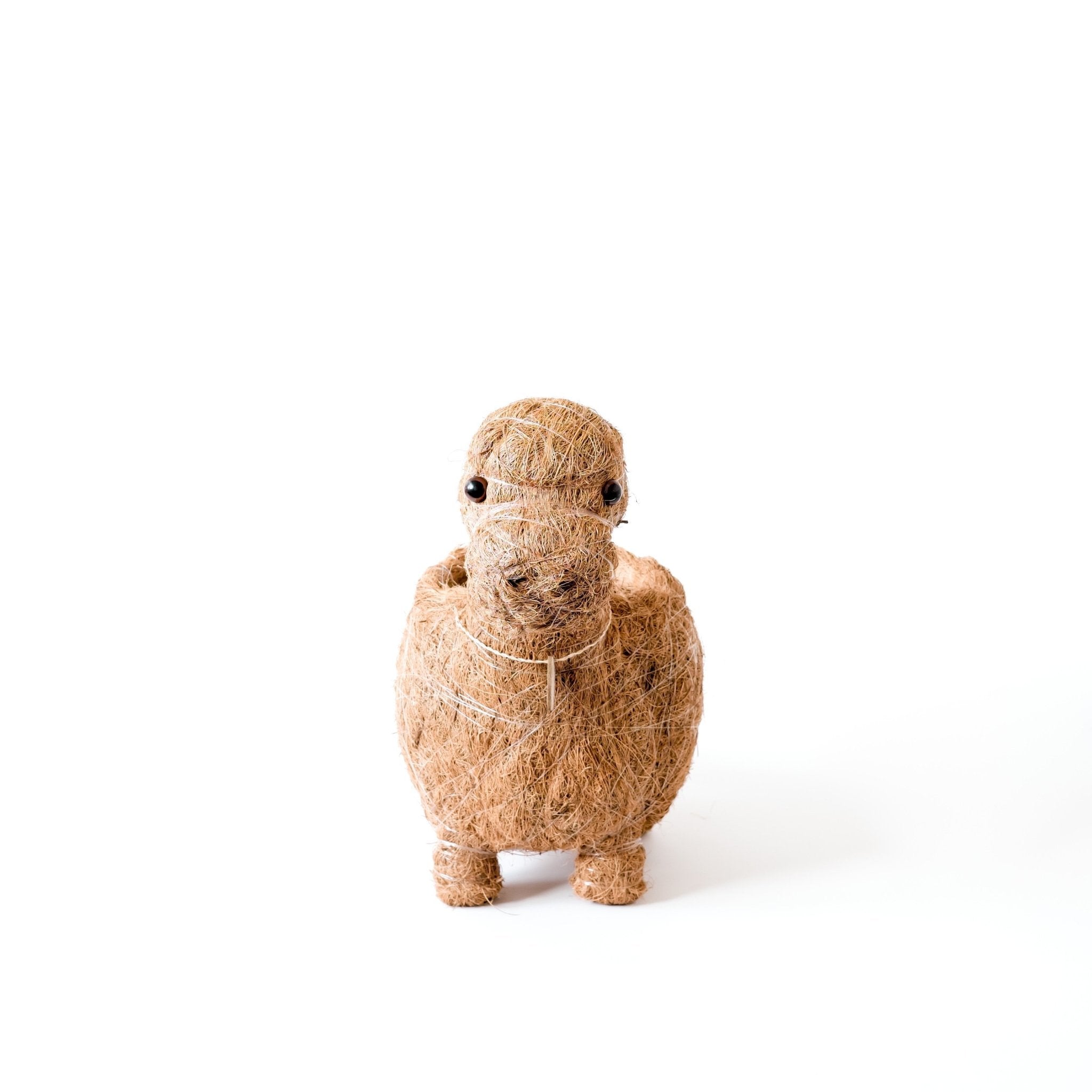 LIKHÂ Brontosaurus Planter - Coco Coir Pots | LIKHÂ