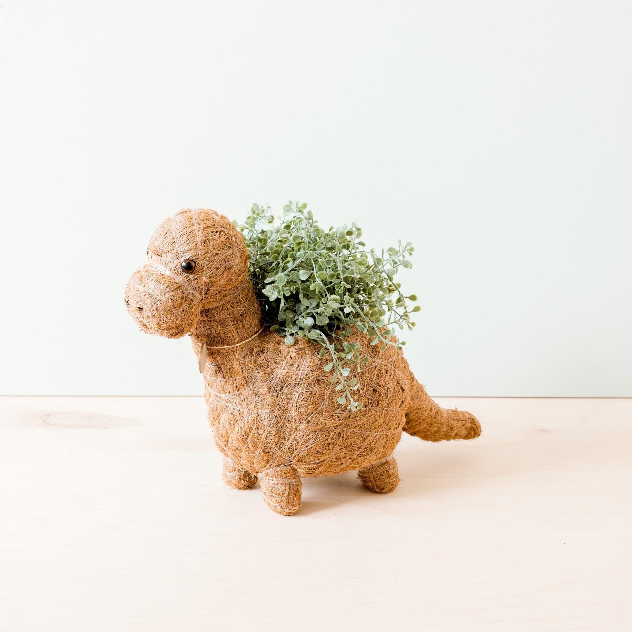 LIKHÂ Brontosaurus Planter - Coco Coir Pots | LIKHÂ