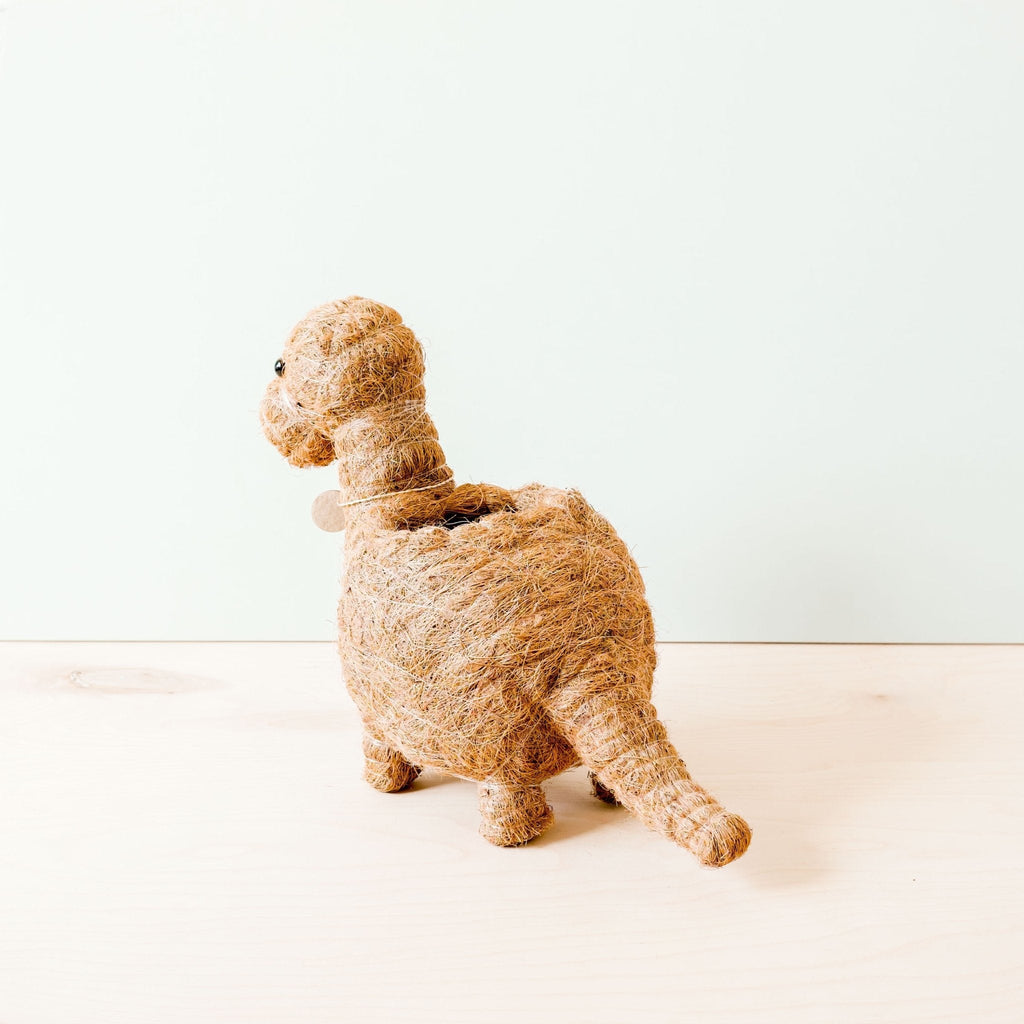 LIKHÂ Brontosaurus Planter - Coco Coir Pots | LIKHÂ