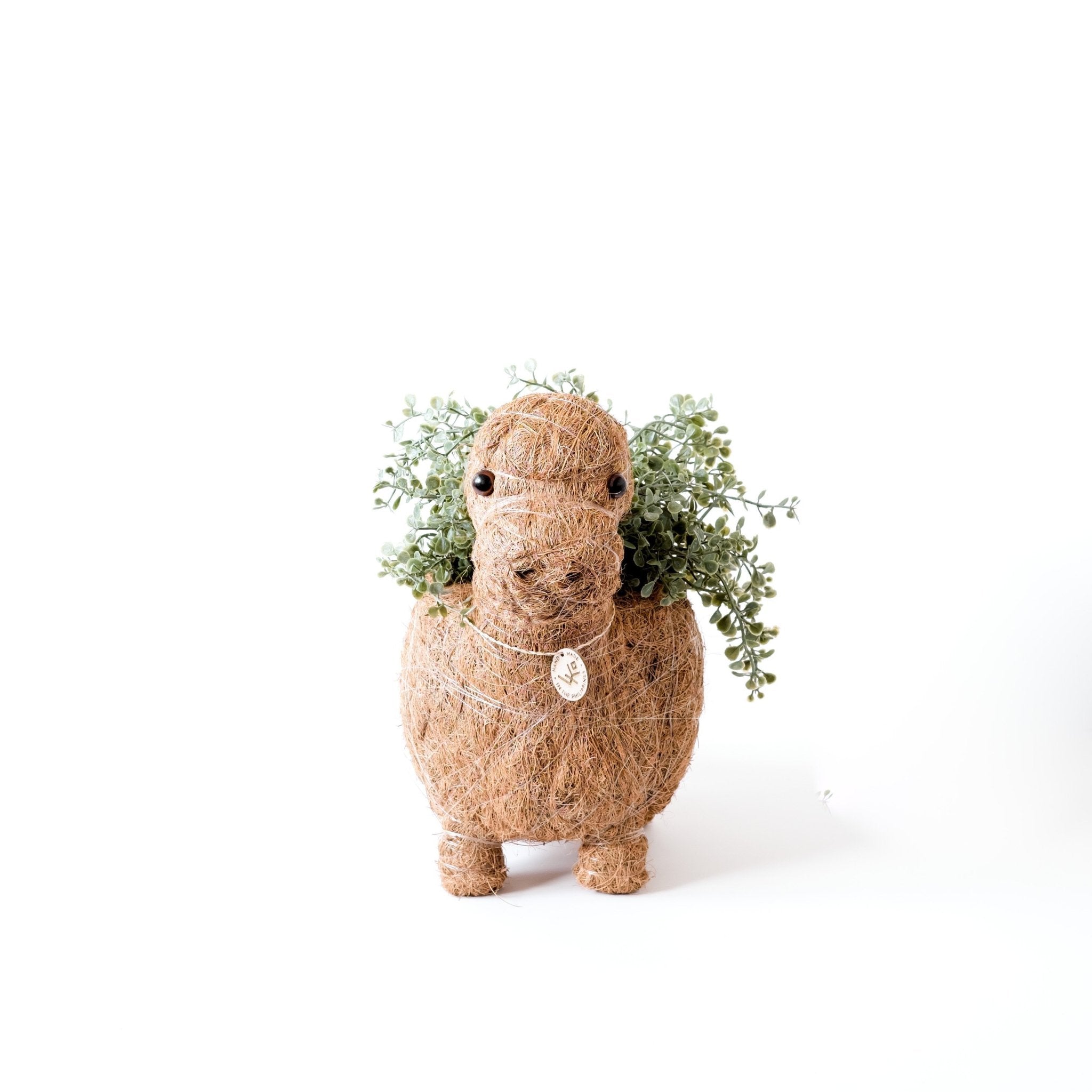 LIKHÂ Brontosaurus Planter - Coco Coir Pots | LIKHÂ