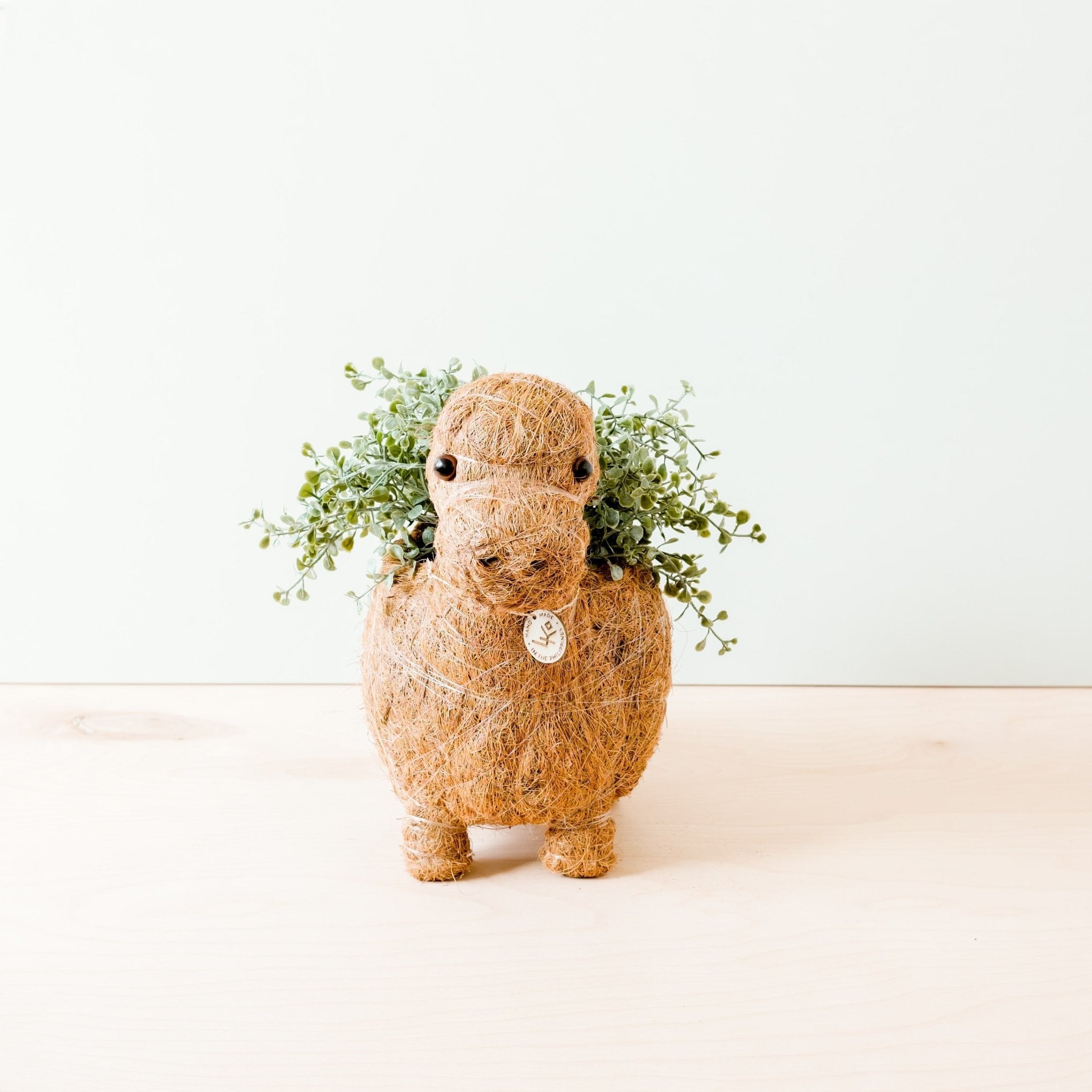 LIKHÂ Brontosaurus Planter - Coco Coir Pots | LIKHÂ