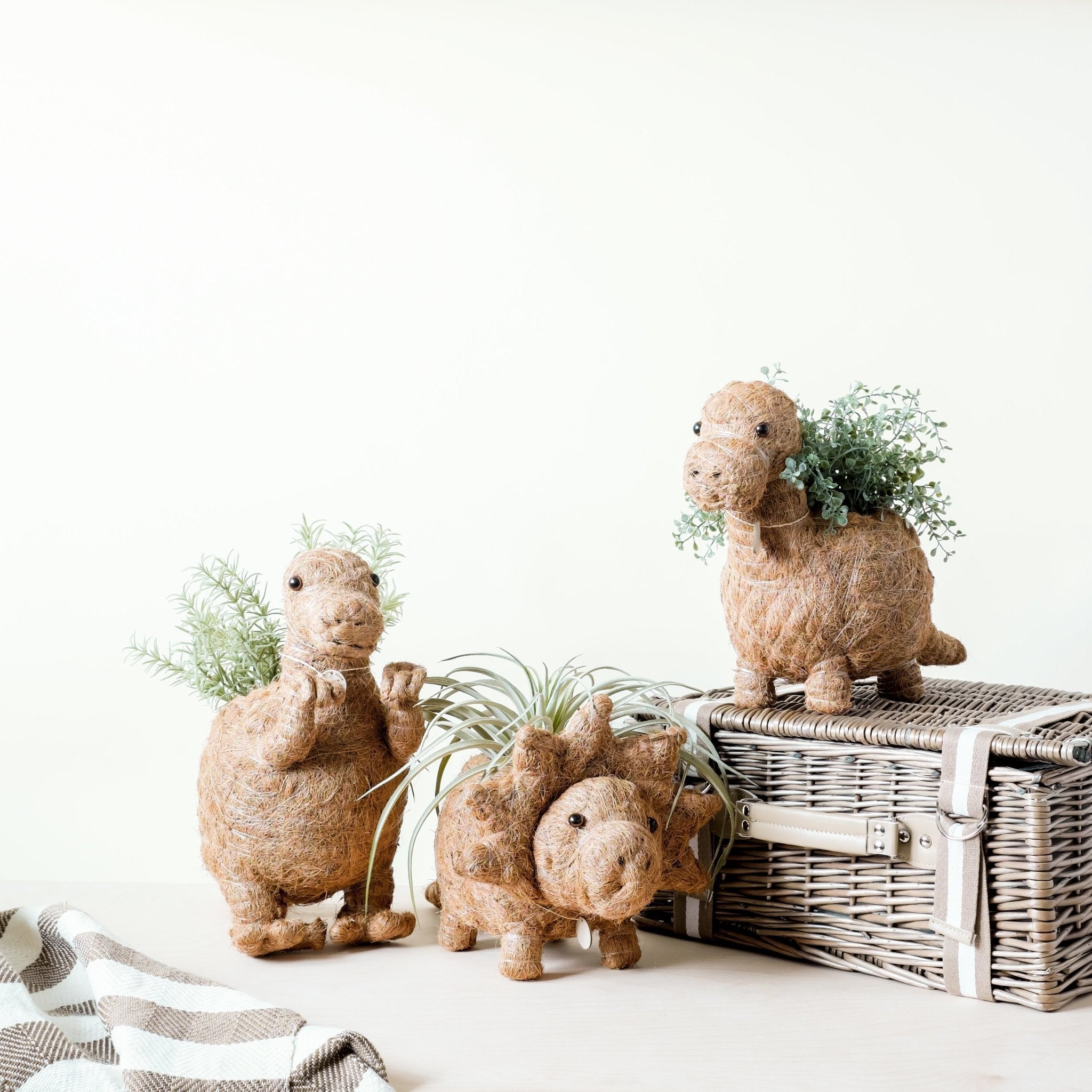LIKHÂ Brontosaurus Planter - Coco Coir Pots | LIKHÂ