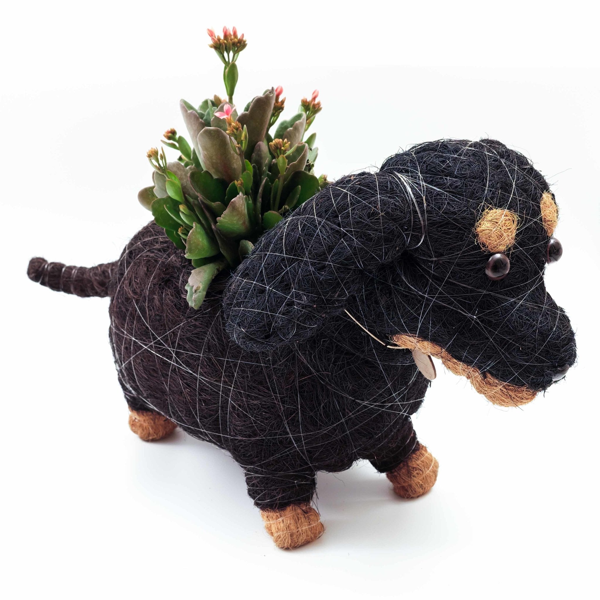 LIKHÂ Dachshund Dog Planter - Coco Planter | LIKHÂ