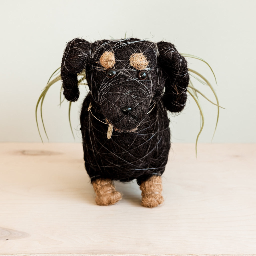 LIKHÂ Dachshund Dog Planter - Coco Planter | LIKHÂ