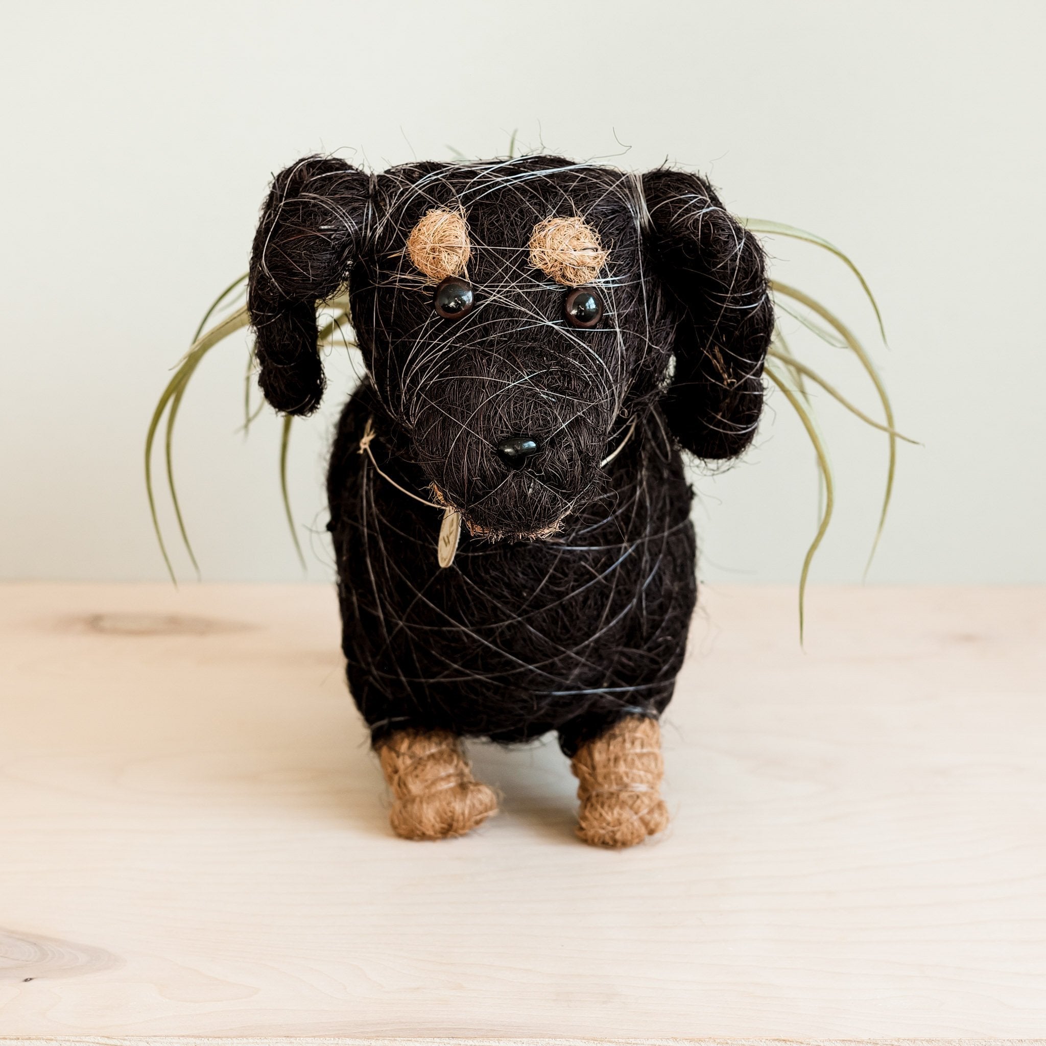 LIKHÂ Dachshund Dog Planter - Coco Planter | LIKHÂ