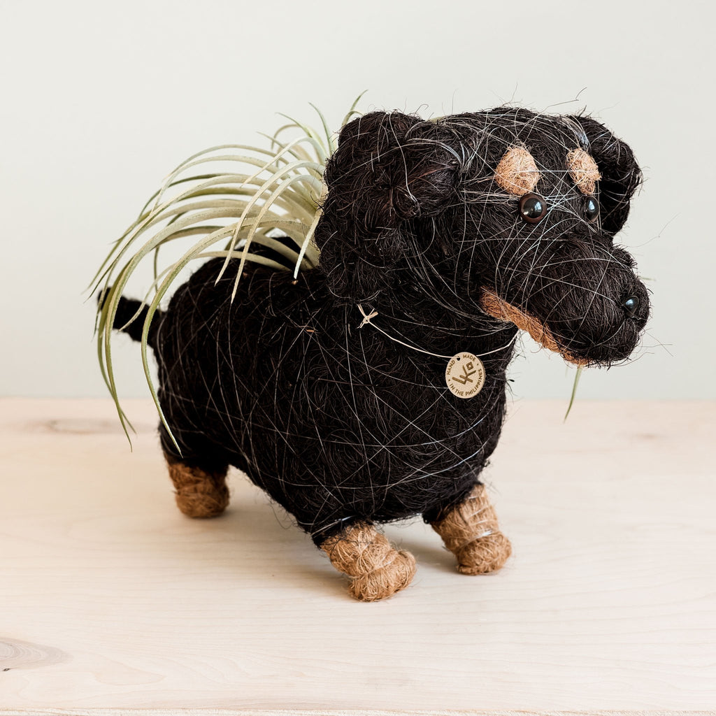 LIKHÂ Dachshund Dog Planter - Coco Planter | LIKHÂ