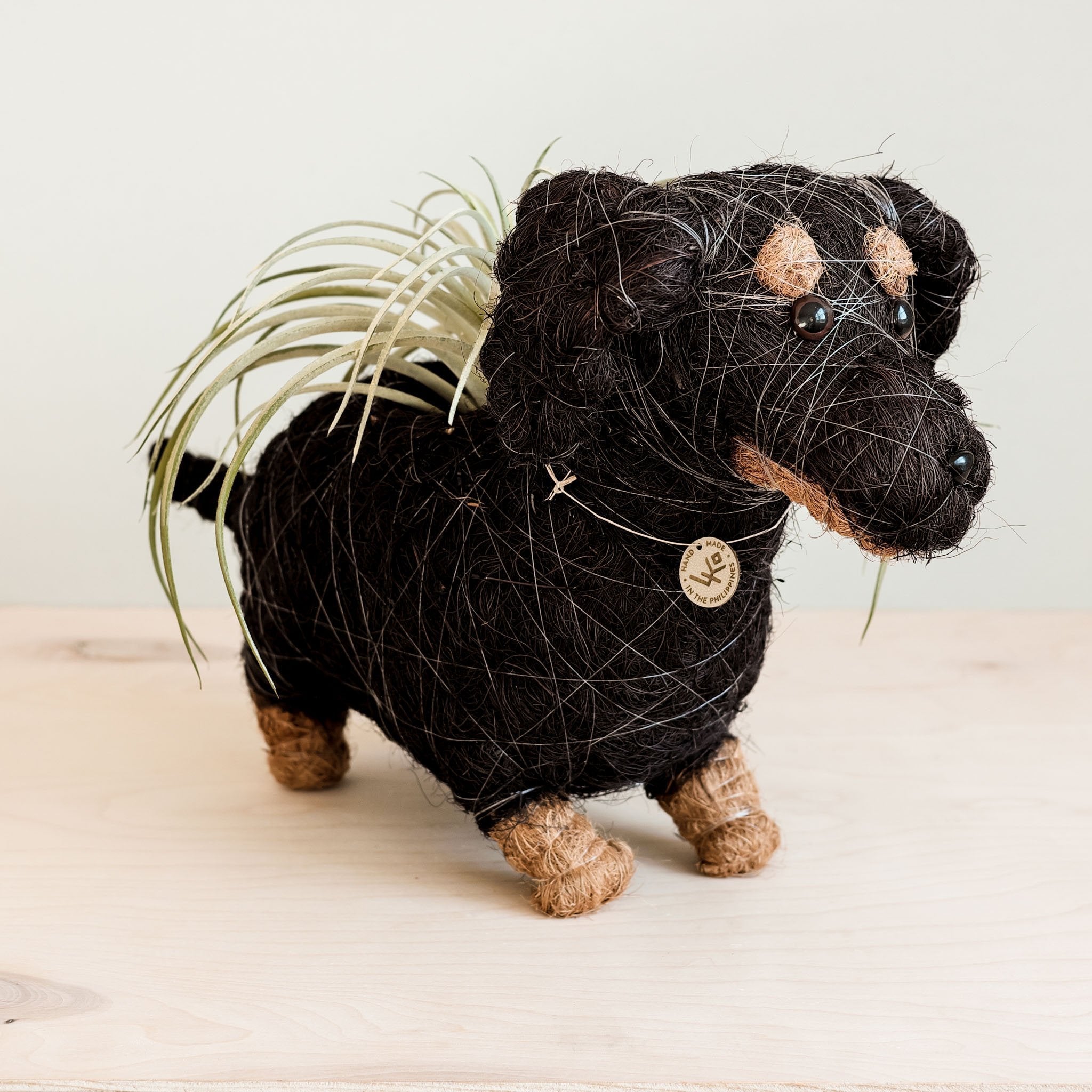 LIKHÂ Dachshund Dog Planter - Coco Planter | LIKHÂ
