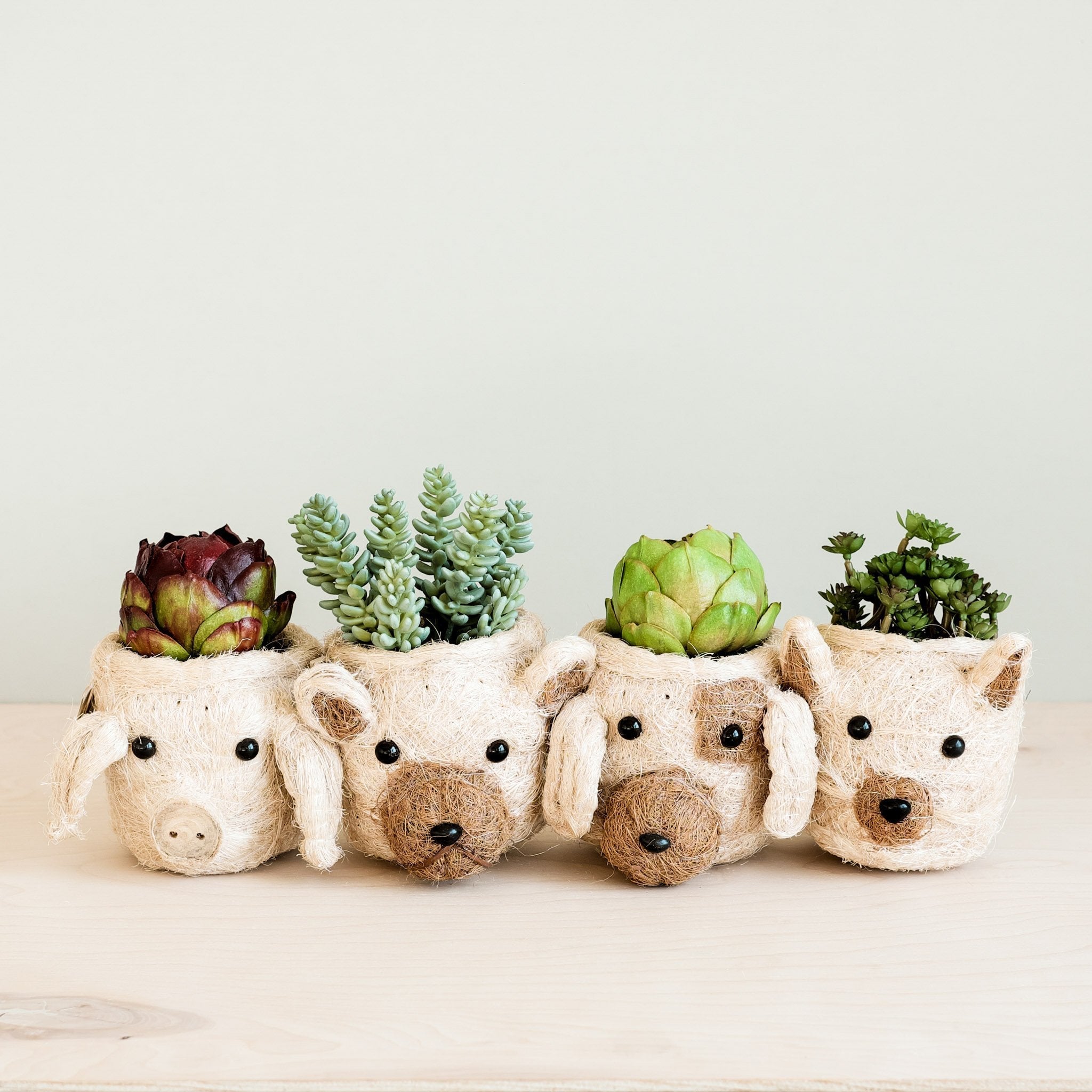 LIKHÂ Dog Succulent Planter - Animal Head Plant Pot | LIKHÂ