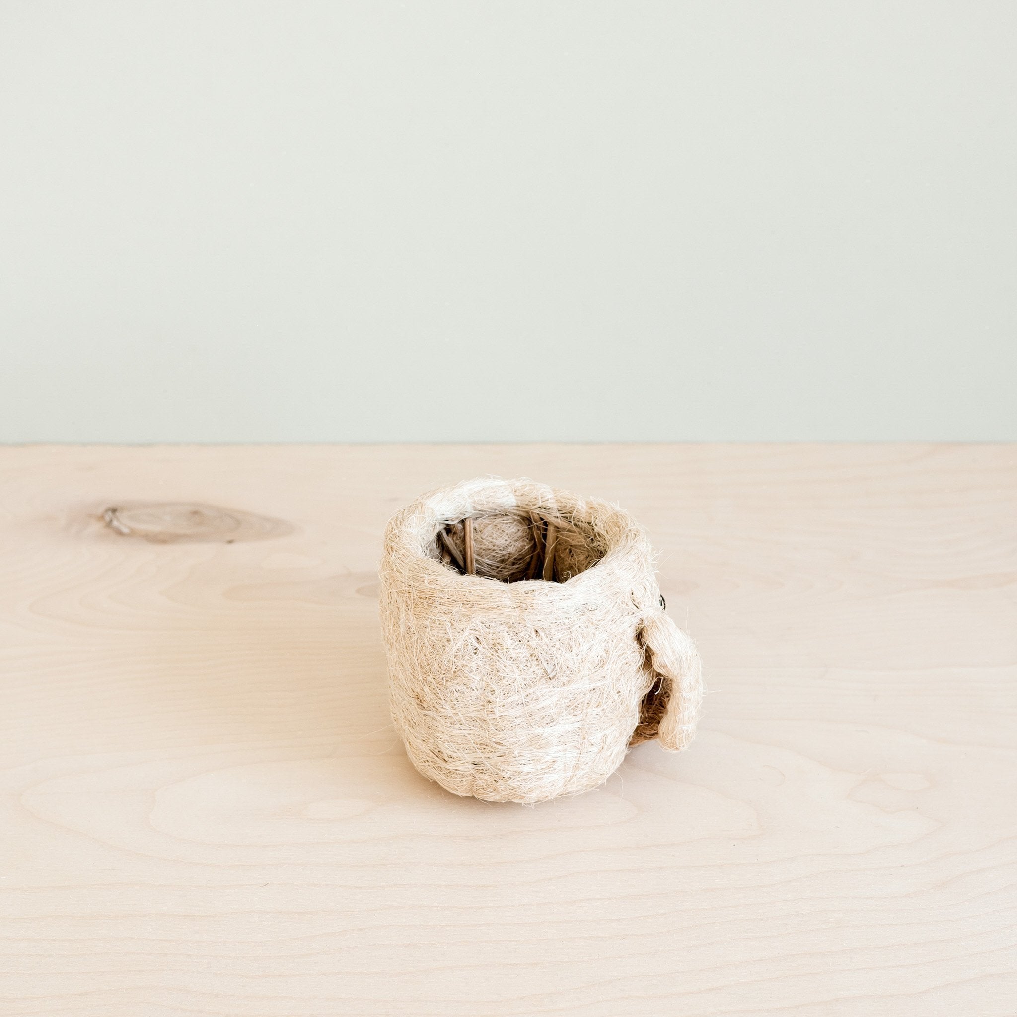 LIKHÂ Dog Succulent Planter - Animal Head Plant Pot | LIKHÂ