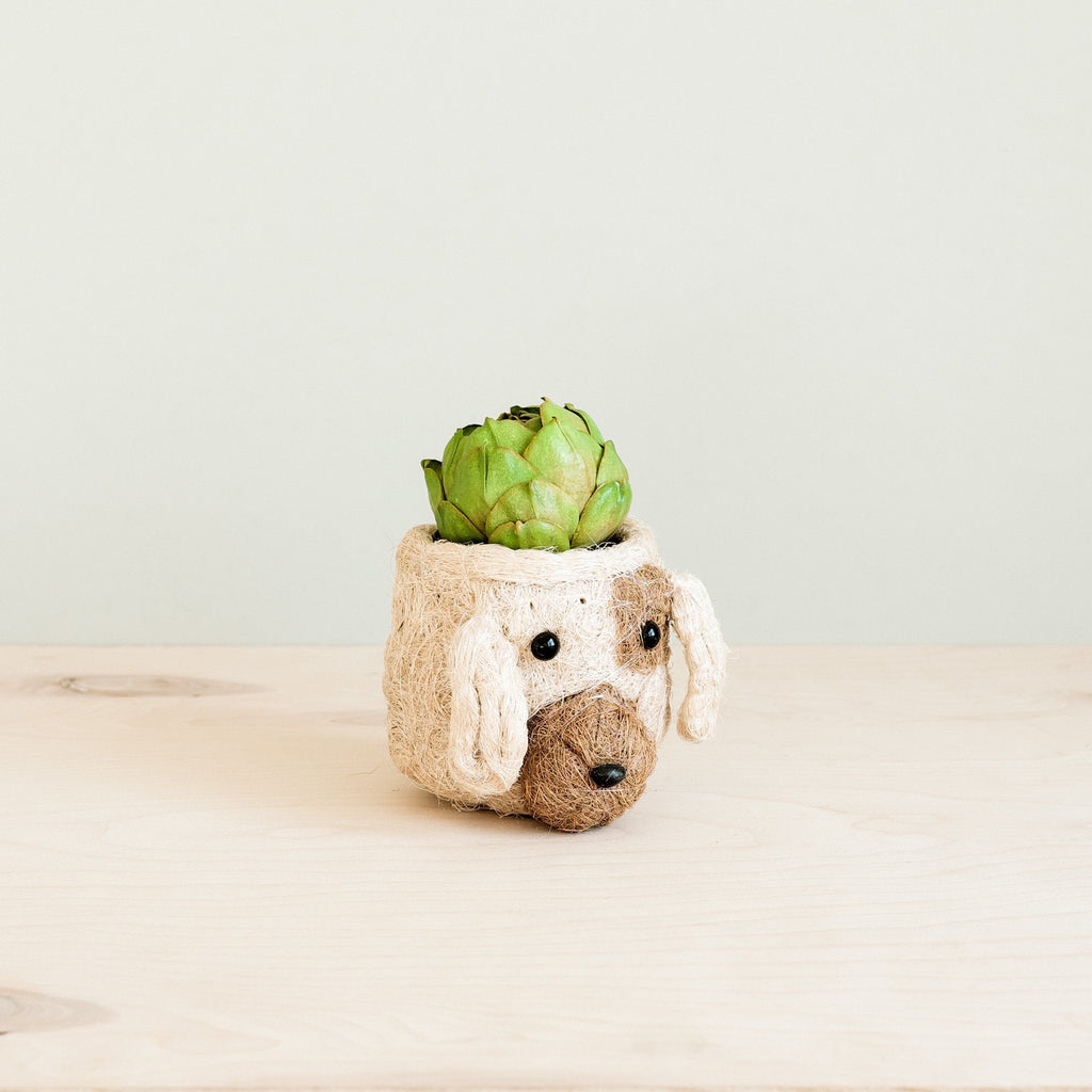LIKHÂ Dog Succulent Planter - Animal Head Plant Pot | LIKHÂ