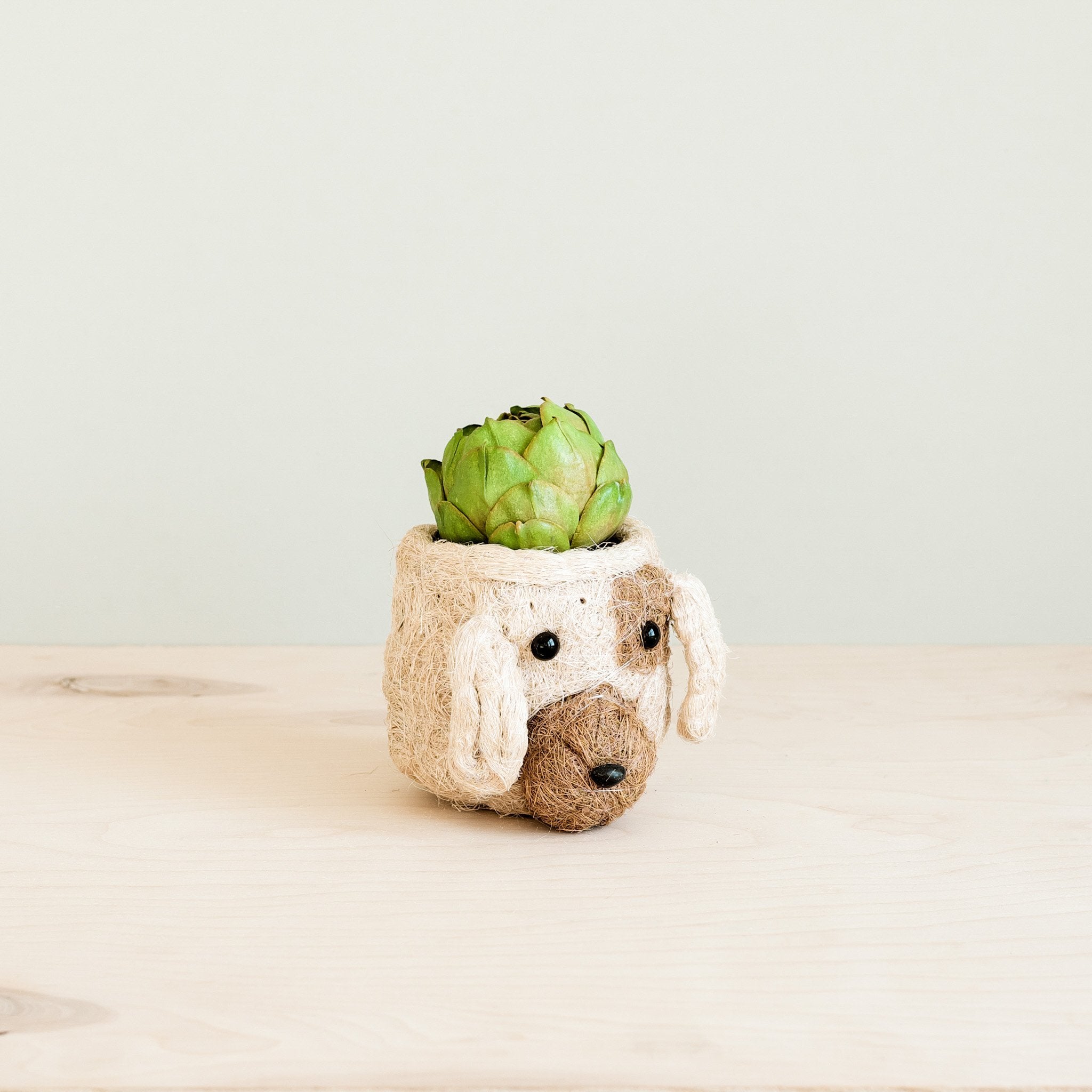 LIKHÂ Dog Succulent Planter - Animal Head Plant Pot | LIKHÂ