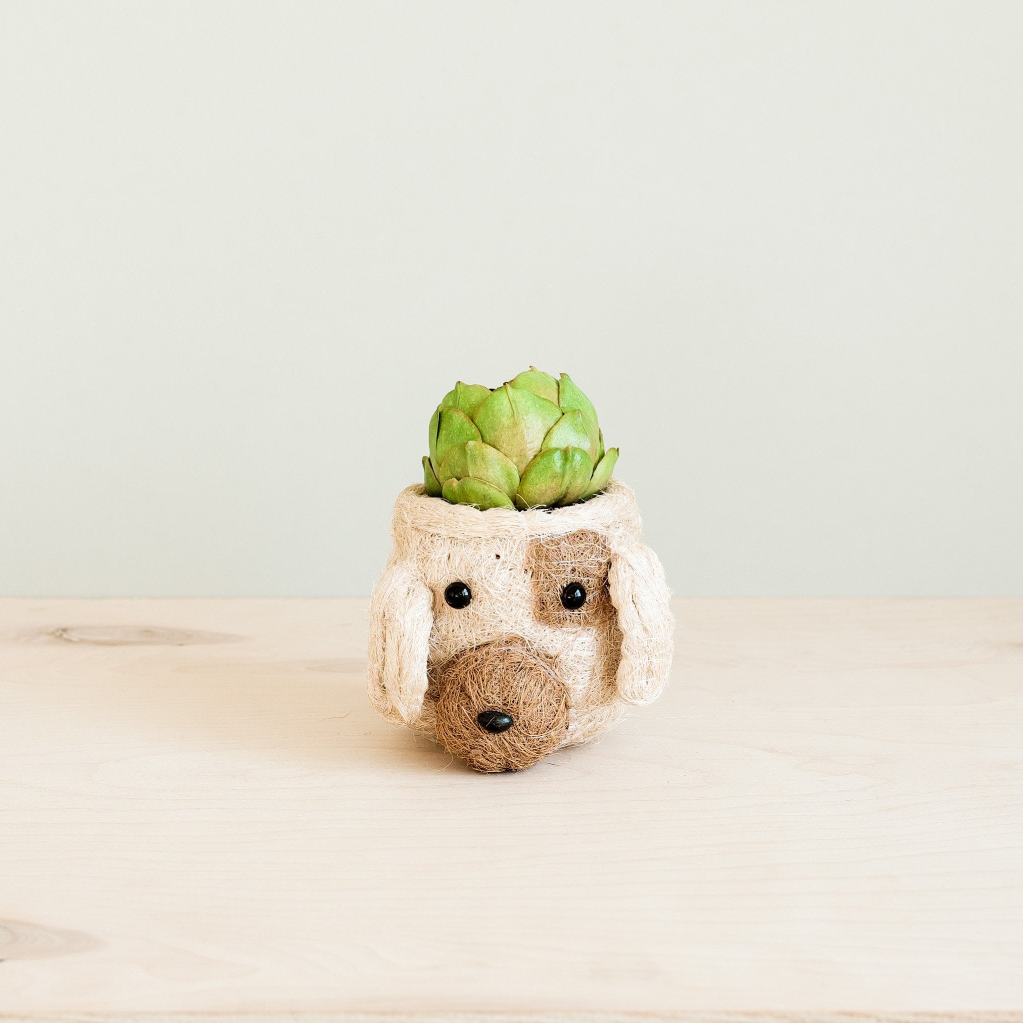 LIKHÂ Dog Succulent Planter - Animal Head Plant Pot | LIKHÂ