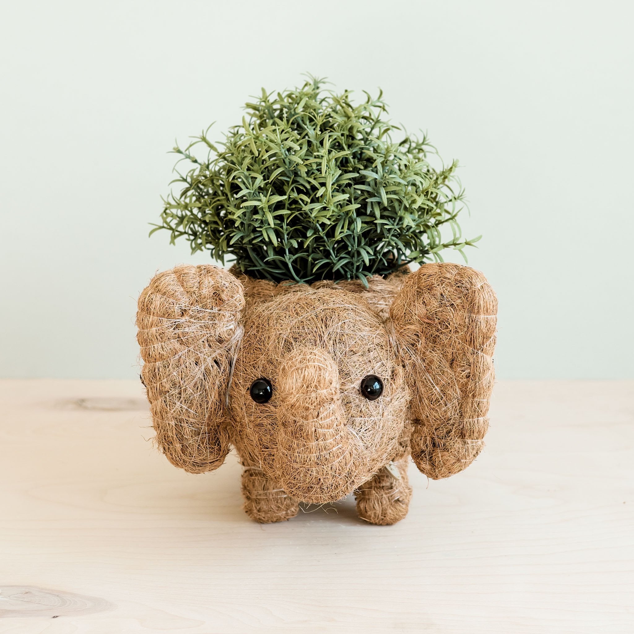 LIKHÂ Elephant Plant Pot - Handmade Planter | LIKHÂ