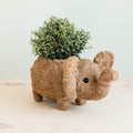 LIKHÂ Elephant Plant Pot - Handmade Planter | LIKHÂ | Heirloom Boulevard