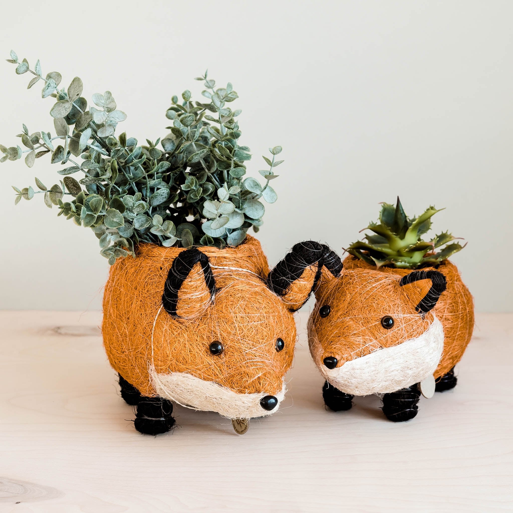 LIKHÂ Fox Planter - Coir Planters | LIKHÂ
