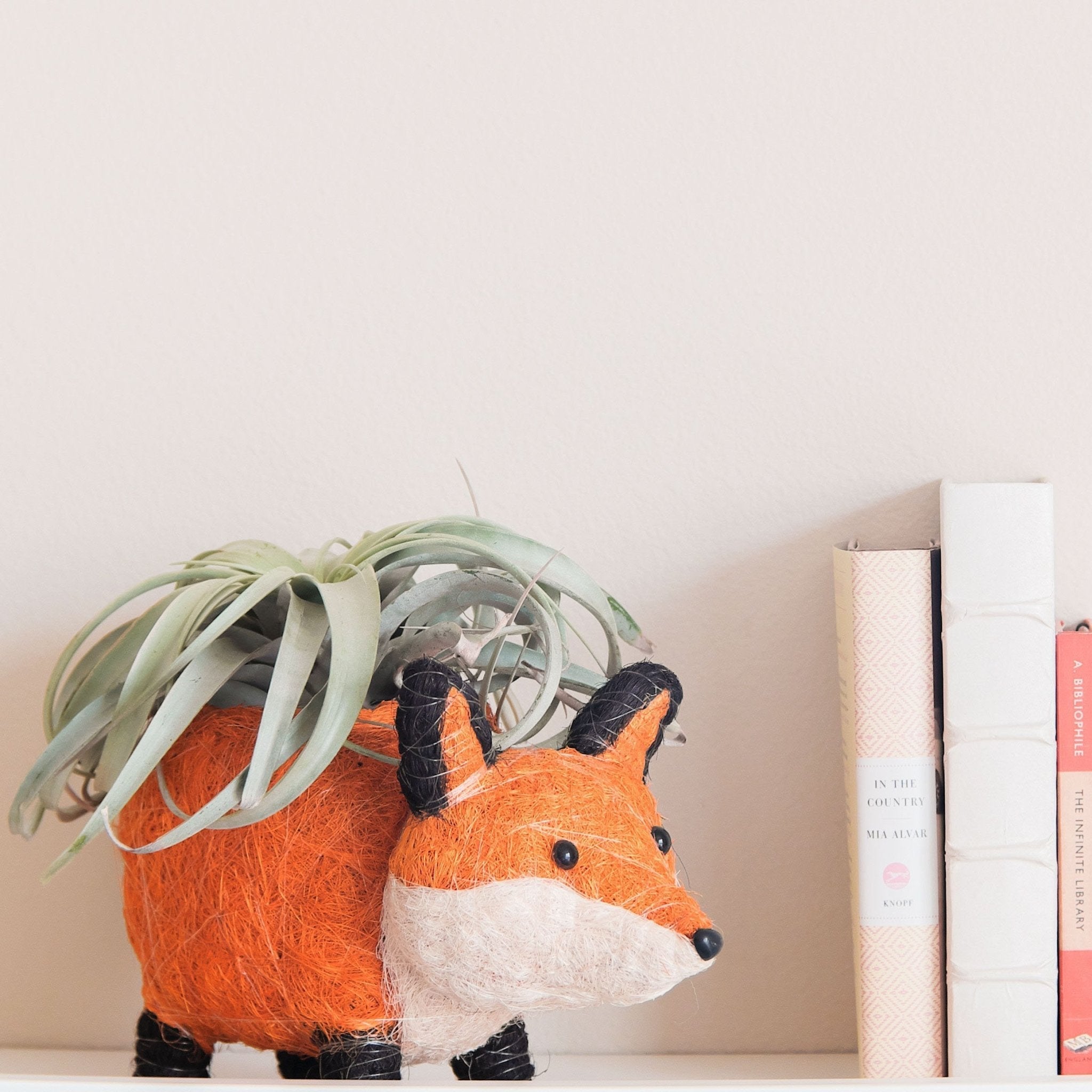 LIKHÂ Fox Planter - Coir Planters | LIKHÂ