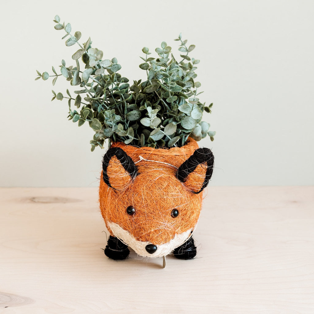 LIKHÂ Fox Planter - Coir Planters | LIKHÂ