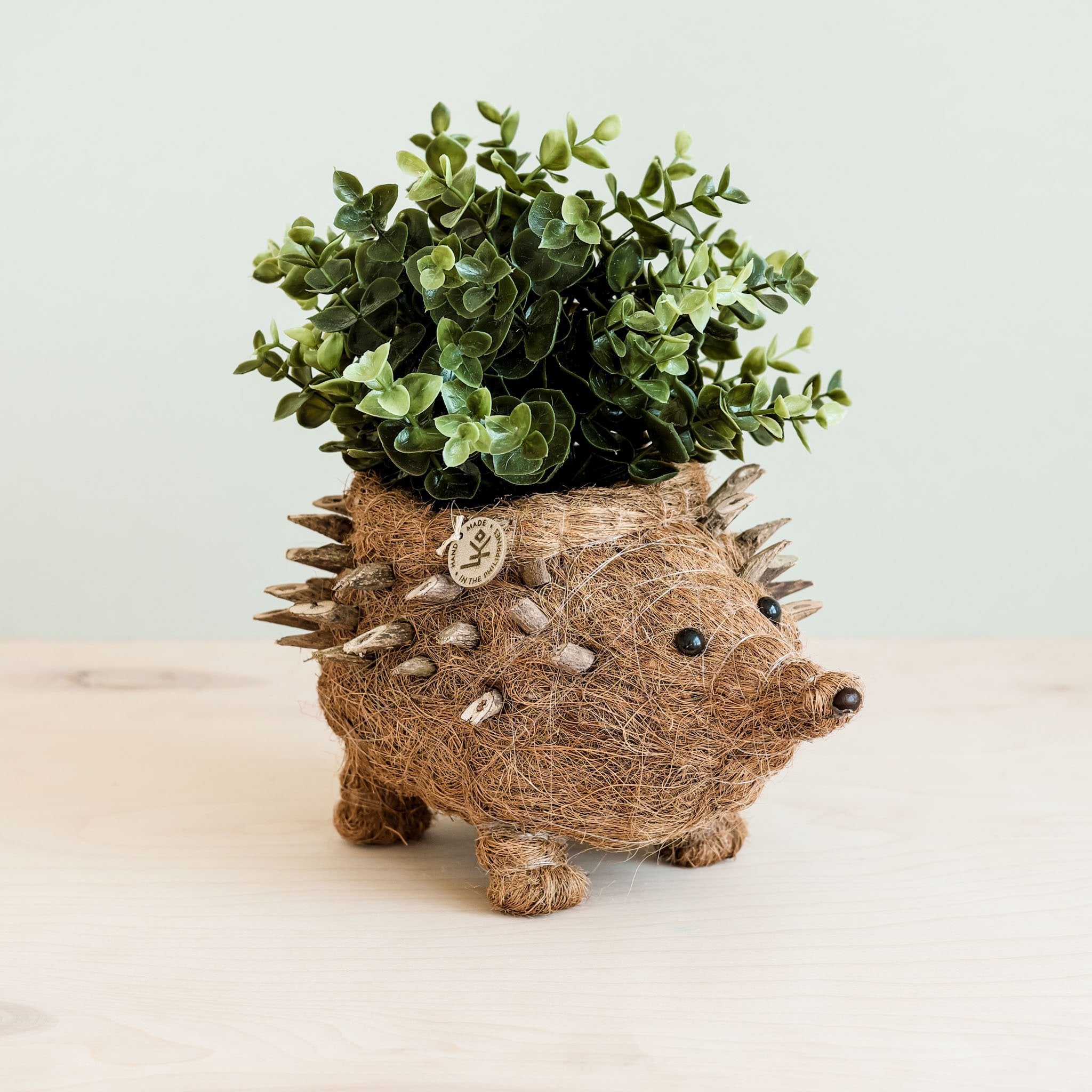 LIKHÂ Hedgehog Planter - Coco Planter| LIKHÂ