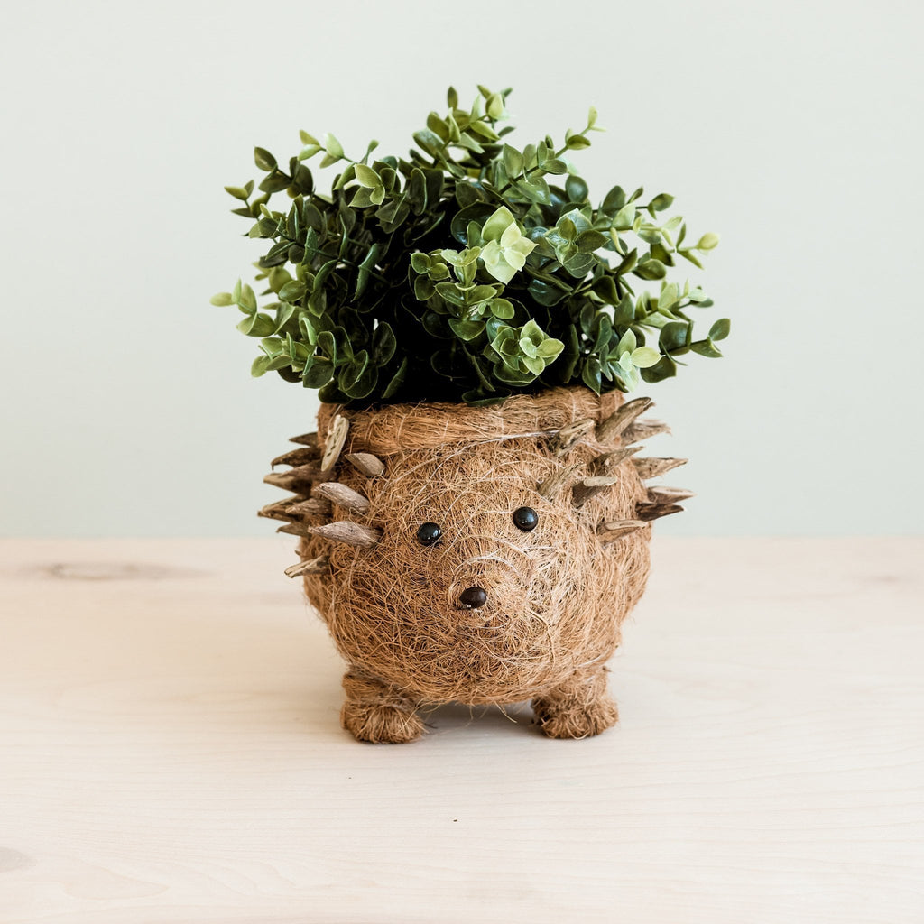LIKHÂ Hedgehog Planter - Coco Planter| LIKHÂ