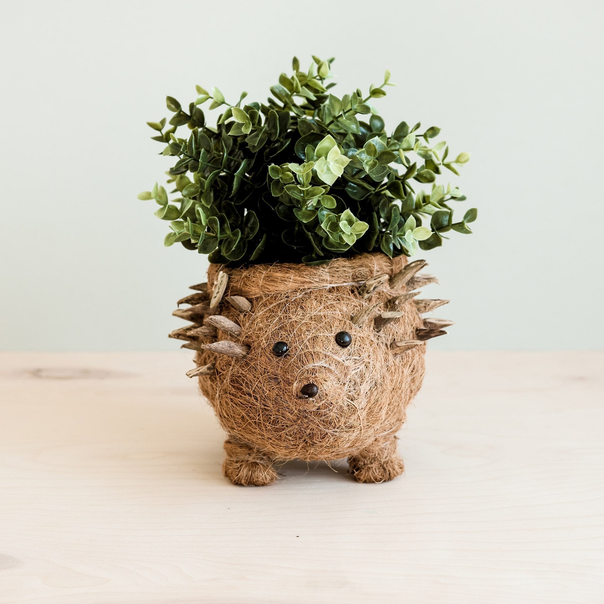 LIKHÂ Hedgehog Planter - Coco Planter| LIKHÂ