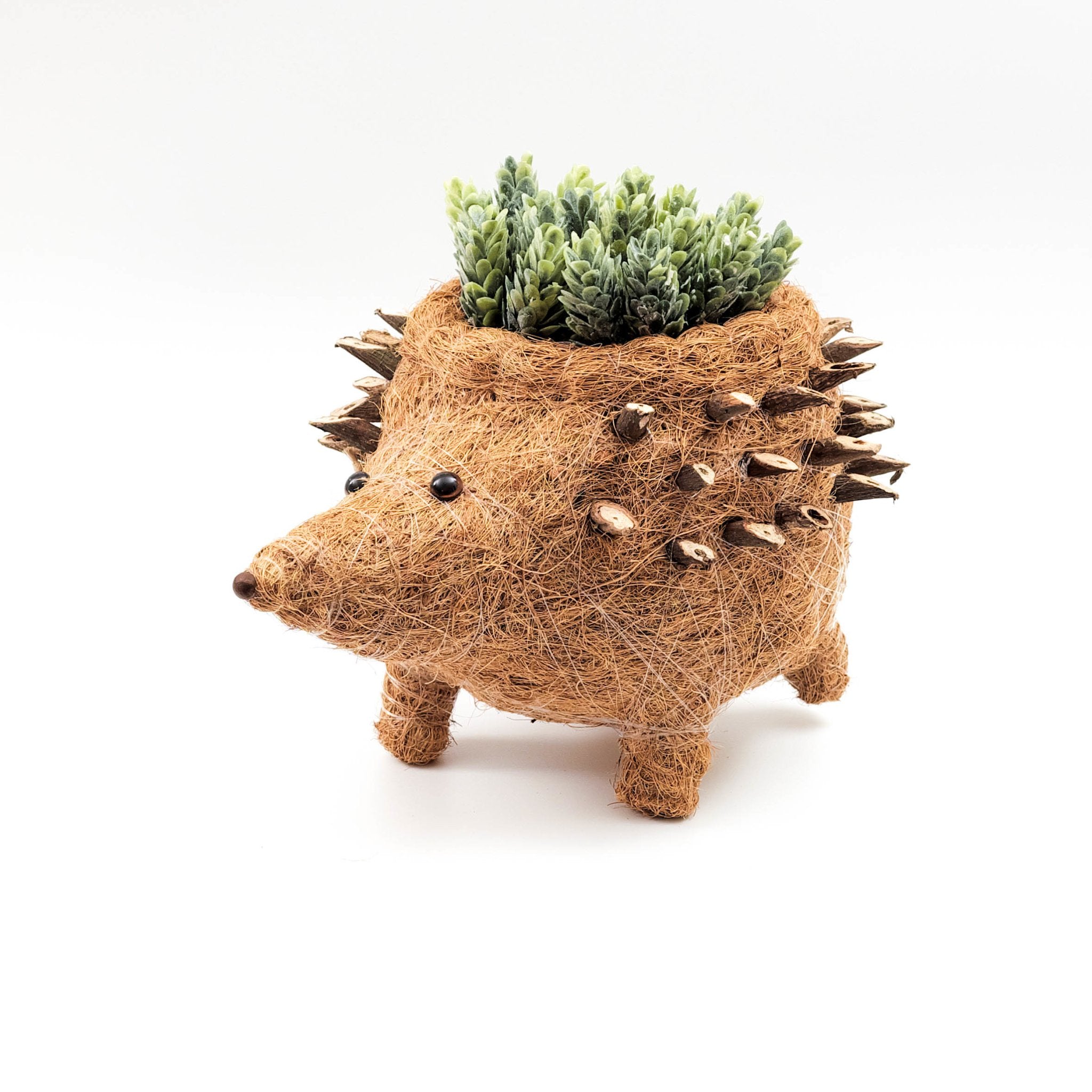 LIKHÂ Hedgehog Planter - Coco Planter| LIKHÂ