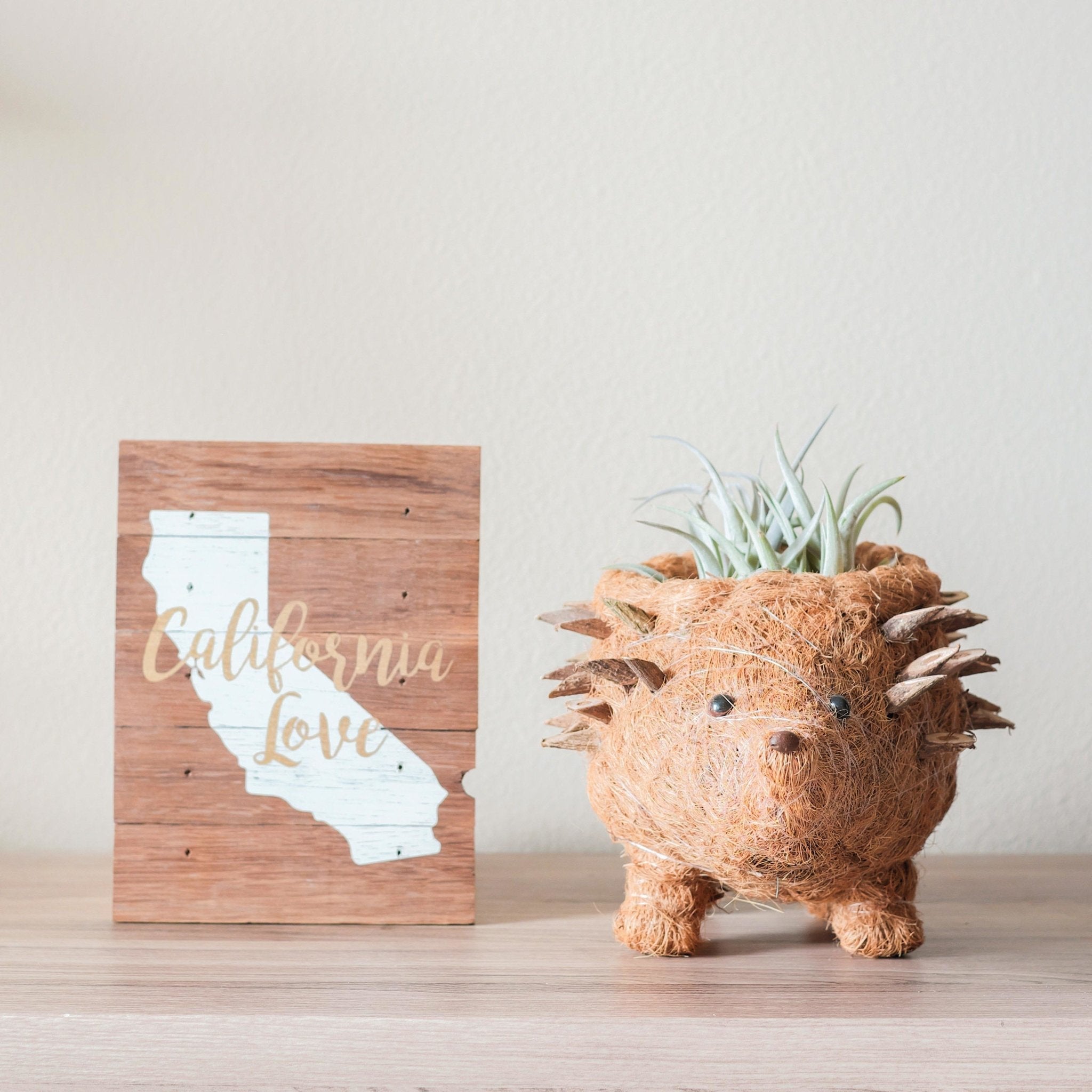 LIKHÂ Hedgehog Planter - Coco Planter| LIKHÂ