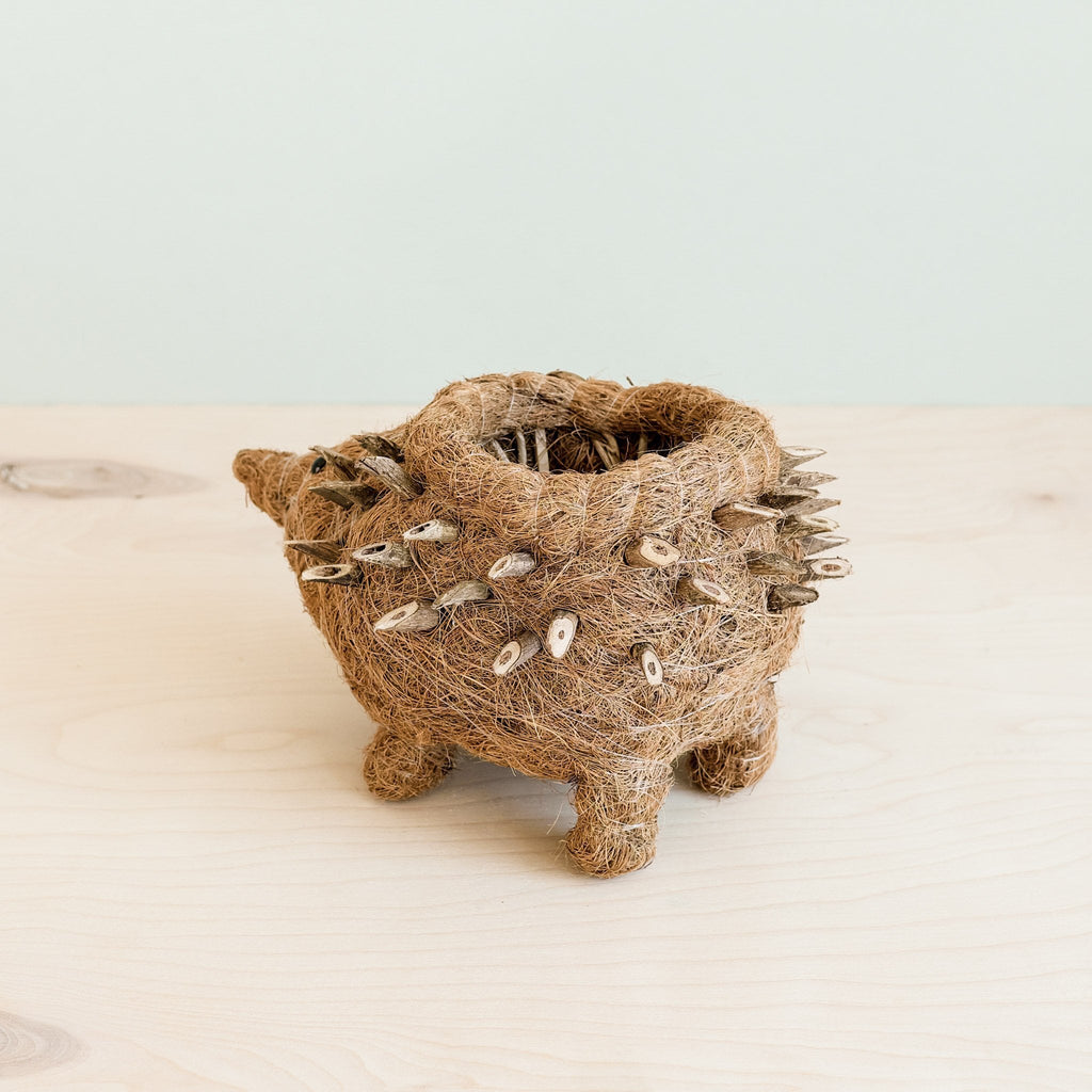 LIKHÂ Hedgehog Planter - Coco Planter| LIKHÂ