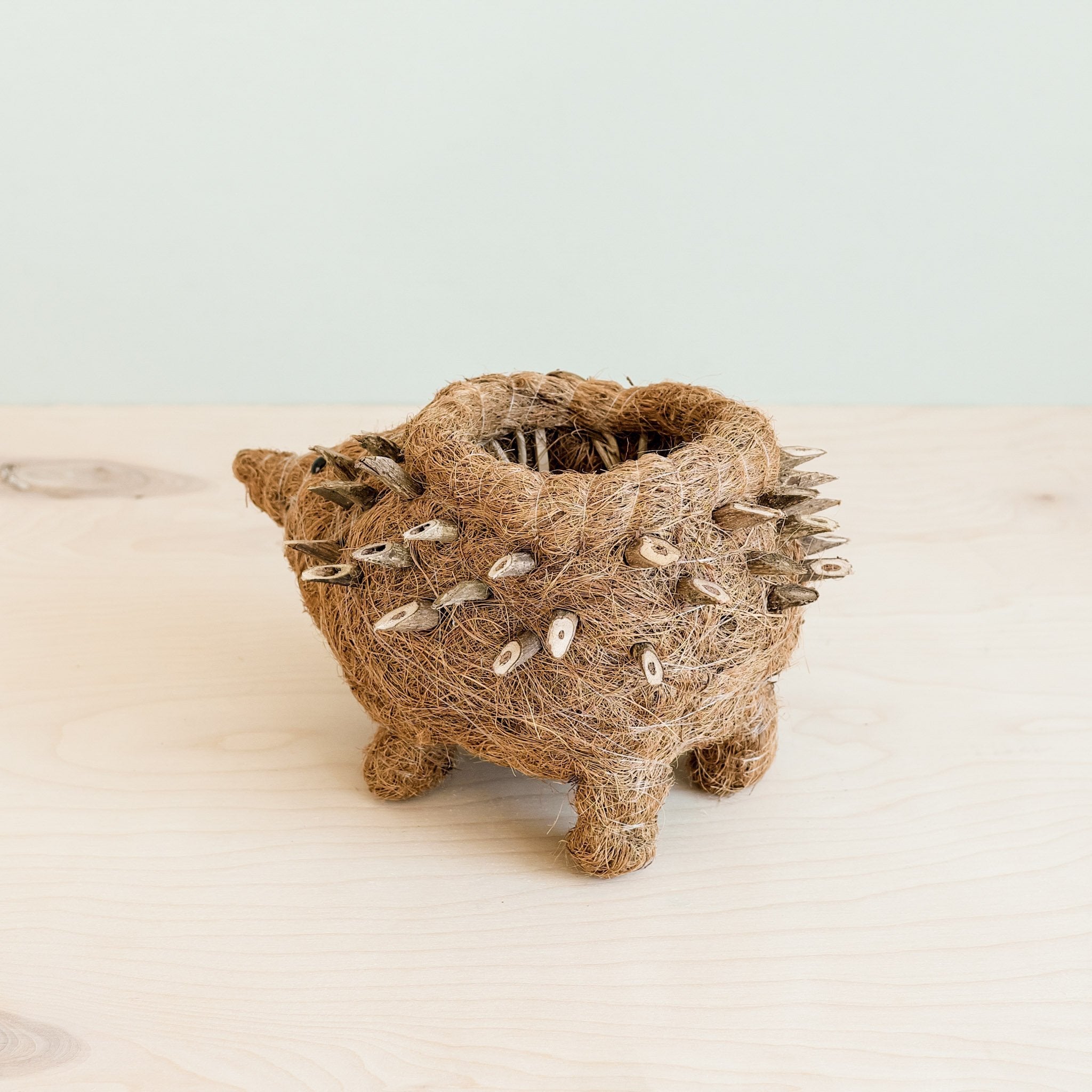 LIKHÂ Hedgehog Planter - Coco Planter| LIKHÂ