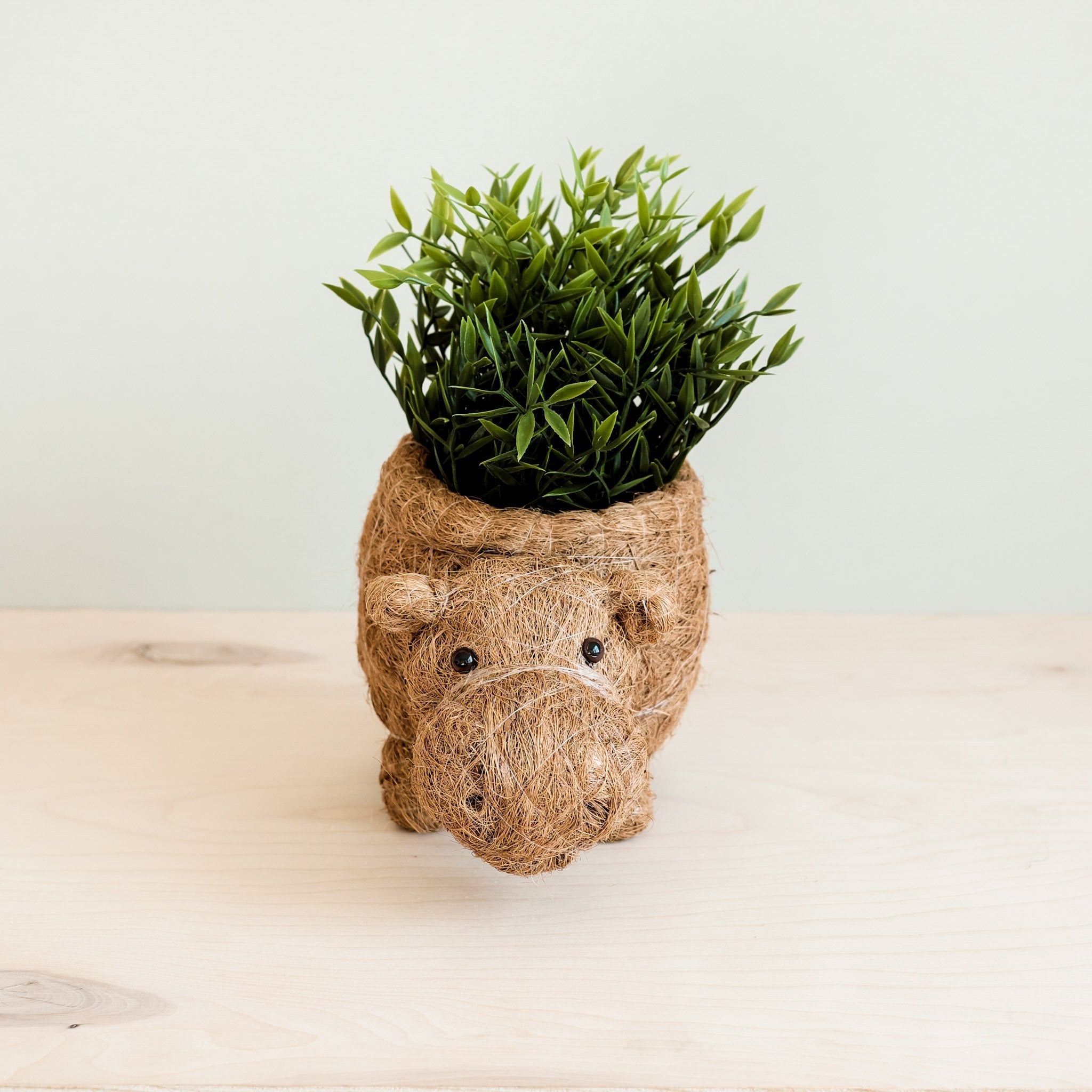 LIKHÂ Hippo Planter - Coco Planter | LIKHÂ