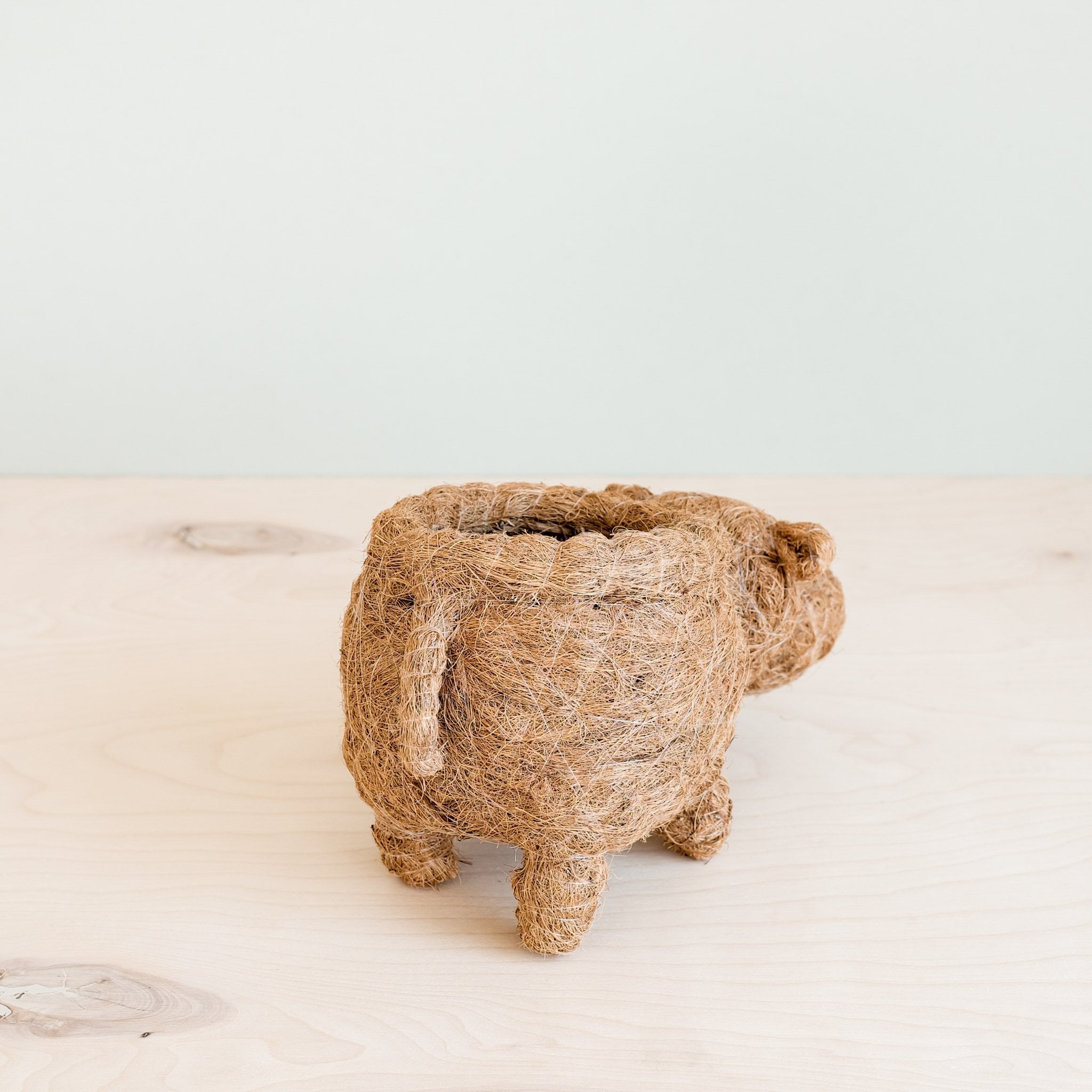 LIKHÂ Hippo Planter - Coco Planter | LIKHÂ