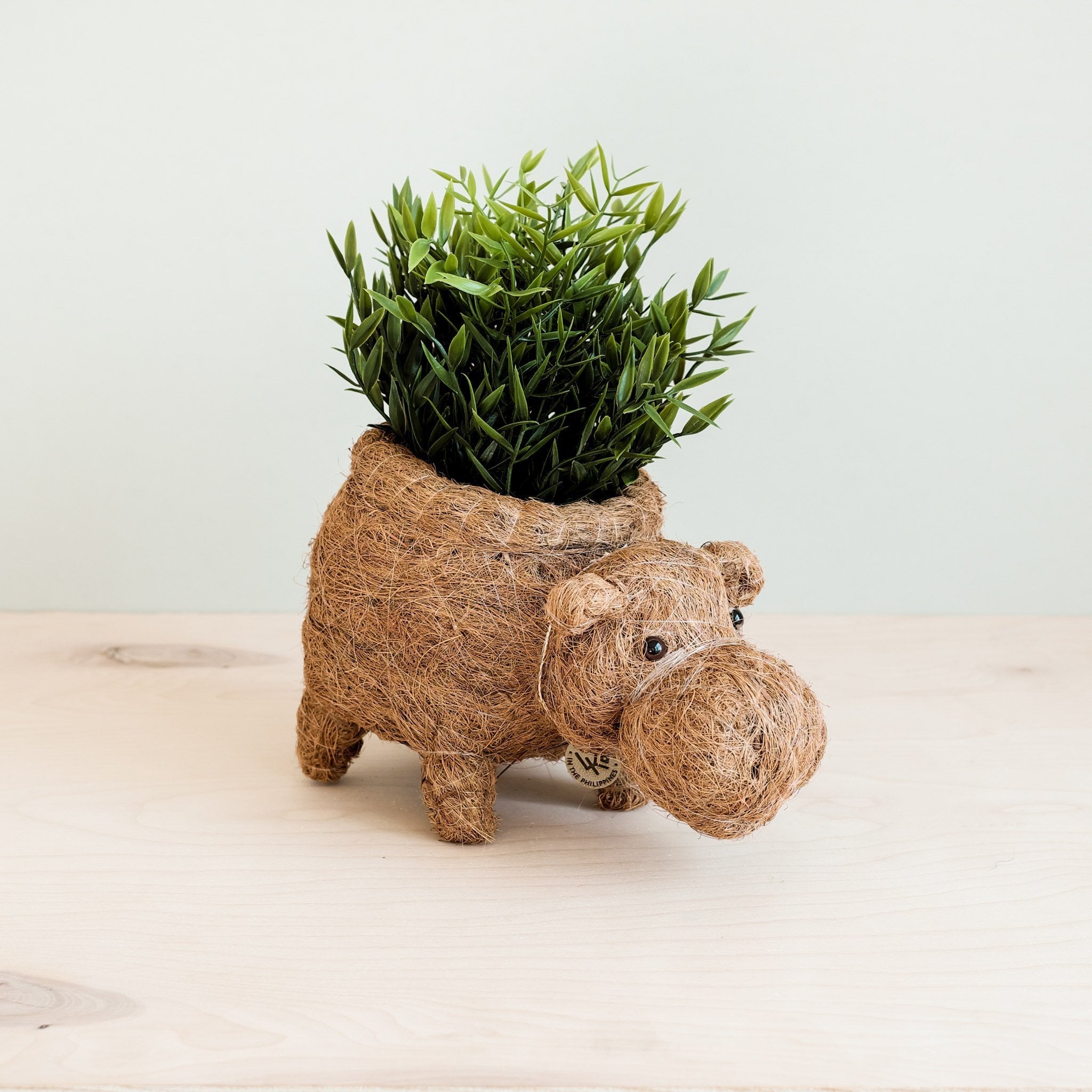 LIKHÂ Hippo Planter - Coco Planter | LIKHÂ