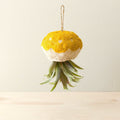 Jellyfish Air Planter - Handmade Planters | LIKHÂ | Heirloom Boulevard
