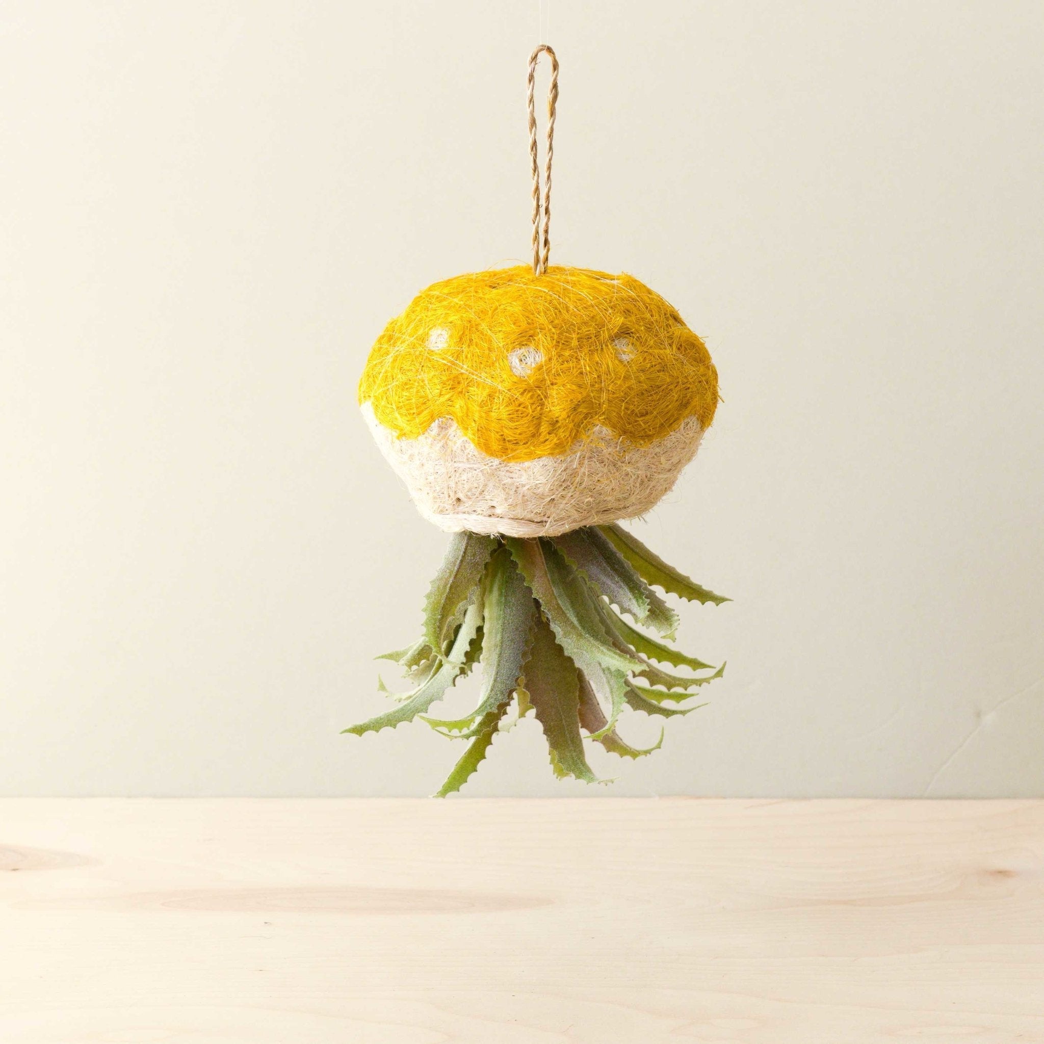 Jellyfish Air Planter - Handmade Planters | LIKHÂ LIKHÂ | Heirloom Boulevard
