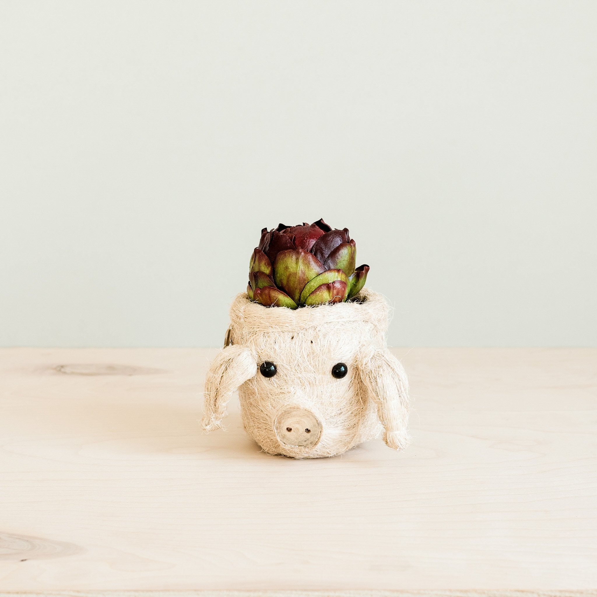 LIKHÂ Pig Plant Pot - Animal Head Plant Pot | LIKHÂ LIKHÂ | Heirloom Boulevard