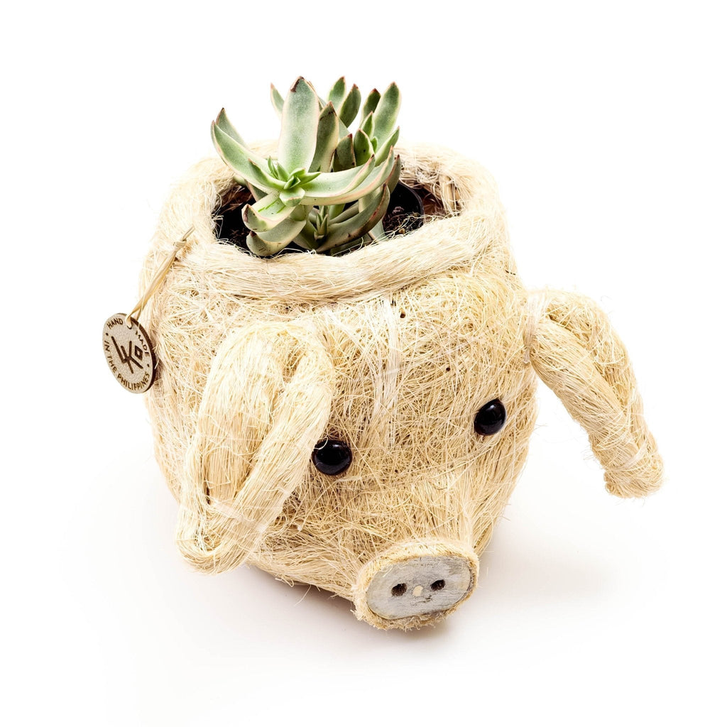 LIKHÂ Pig Plant Pot - Animal Head Plant Pot | LIKHÂ LIKHÂ | Heirloom Boulevard
