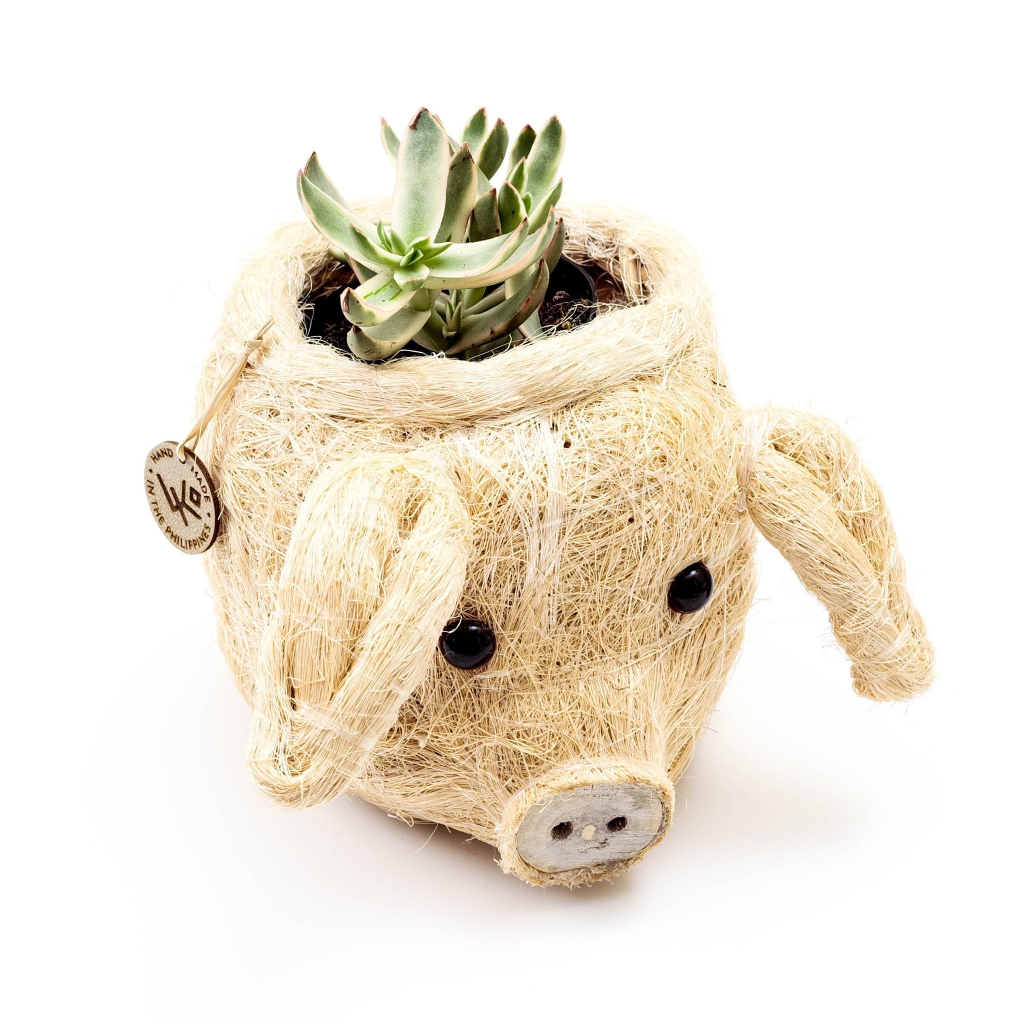 LIKHÂ Pig Plant Pot - Animal Head Plant Pot | LIKHÂ LIKHÂ | Heirloom Boulevard