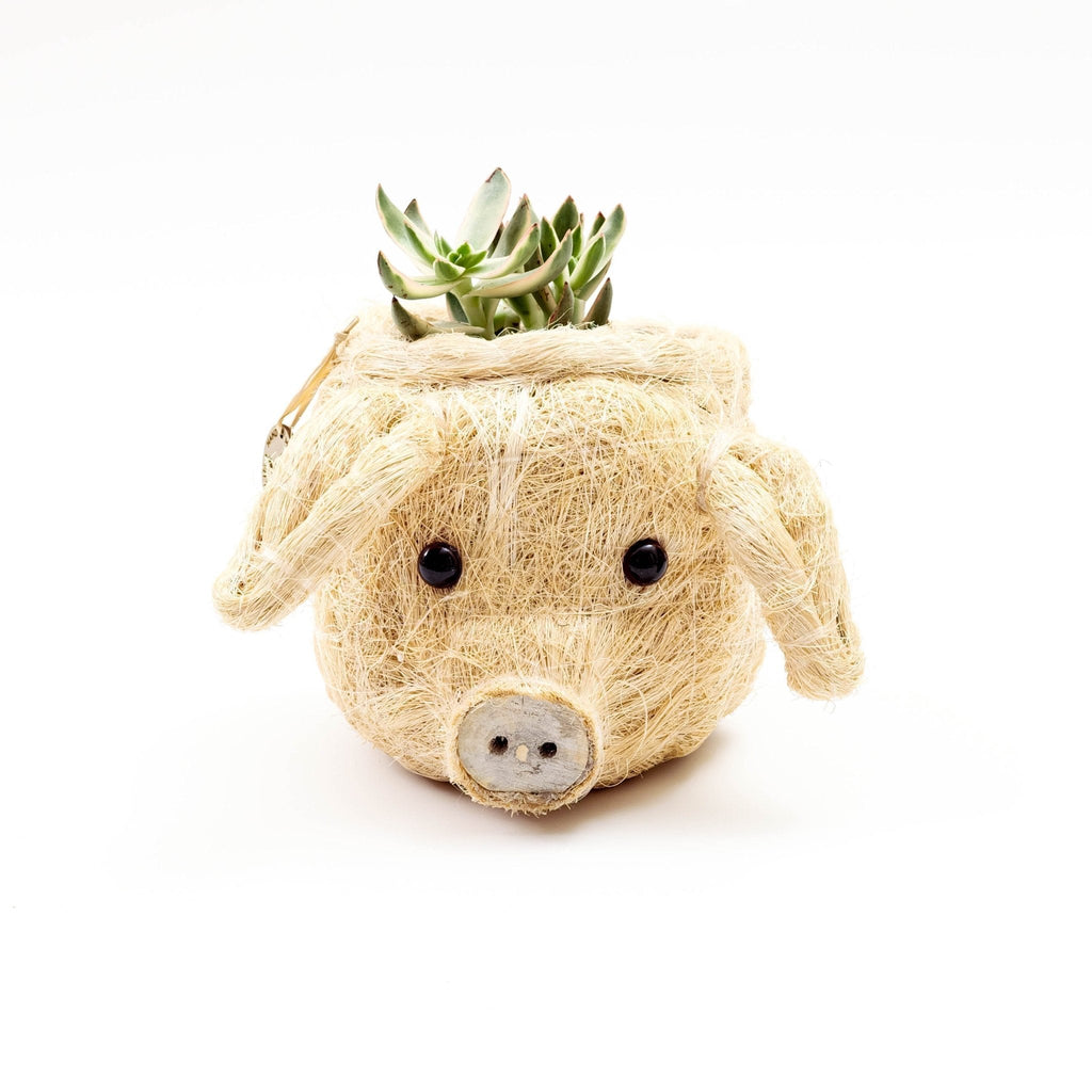 LIKHÂ Pig Plant Pot - Animal Head Plant Pot | LIKHÂ LIKHÂ | Heirloom Boulevard