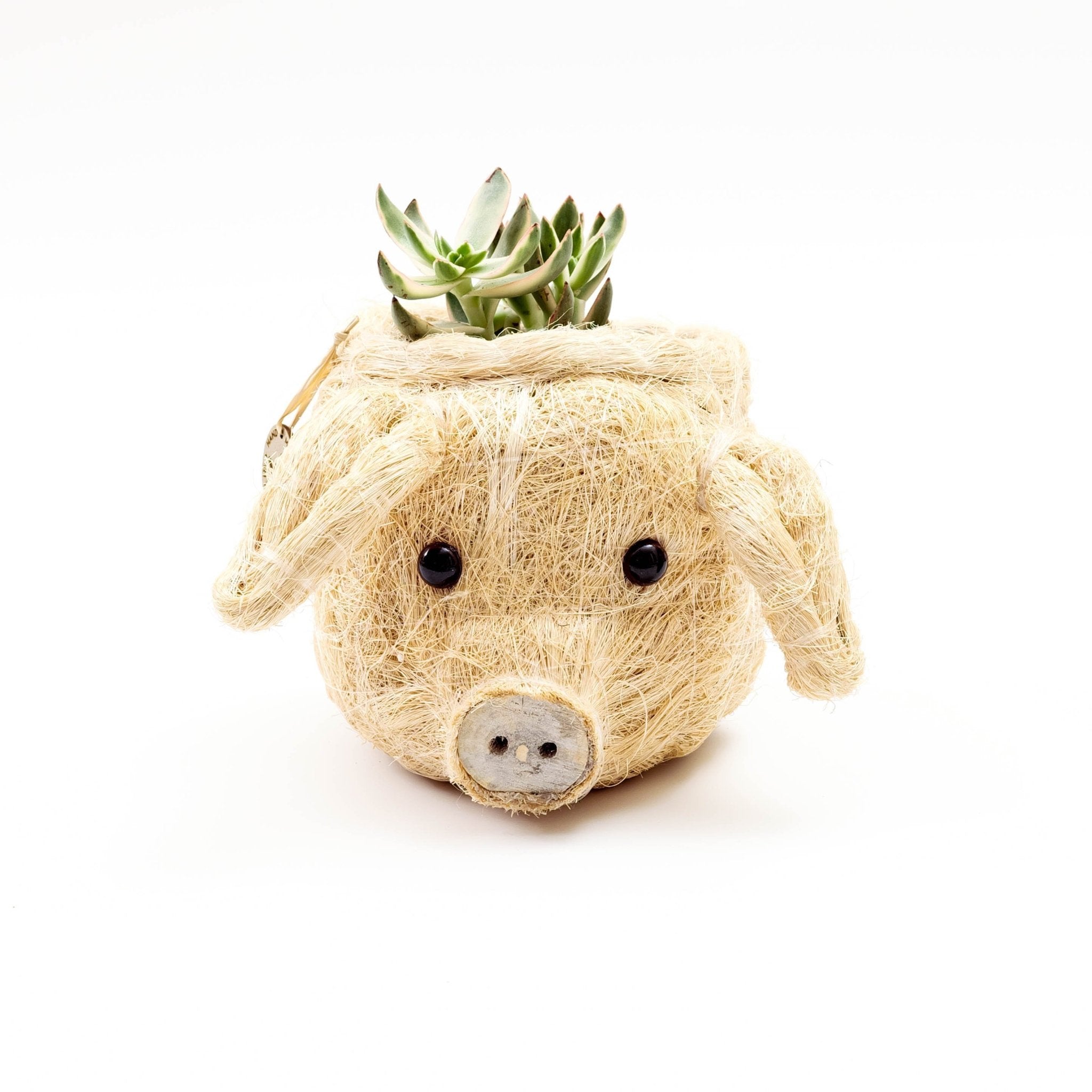 LIKHÂ Pig Plant Pot - Animal Head Plant Pot | LIKHÂ LIKHÂ | Heirloom Boulevard