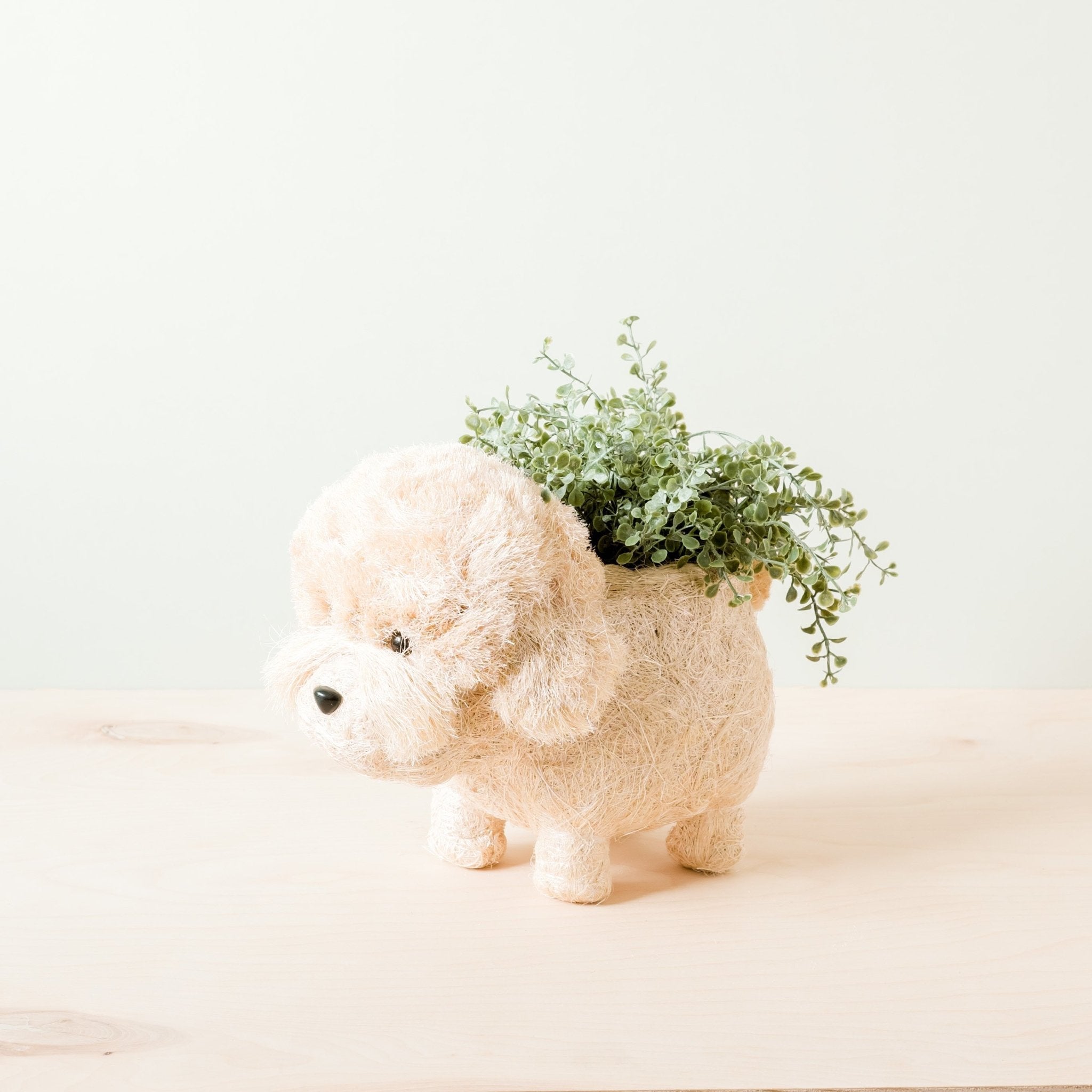 LIKHÂ Poodle Planter - Coco Coir Pots | LIKHÂ LIKHÂ | Heirloom Boulevard