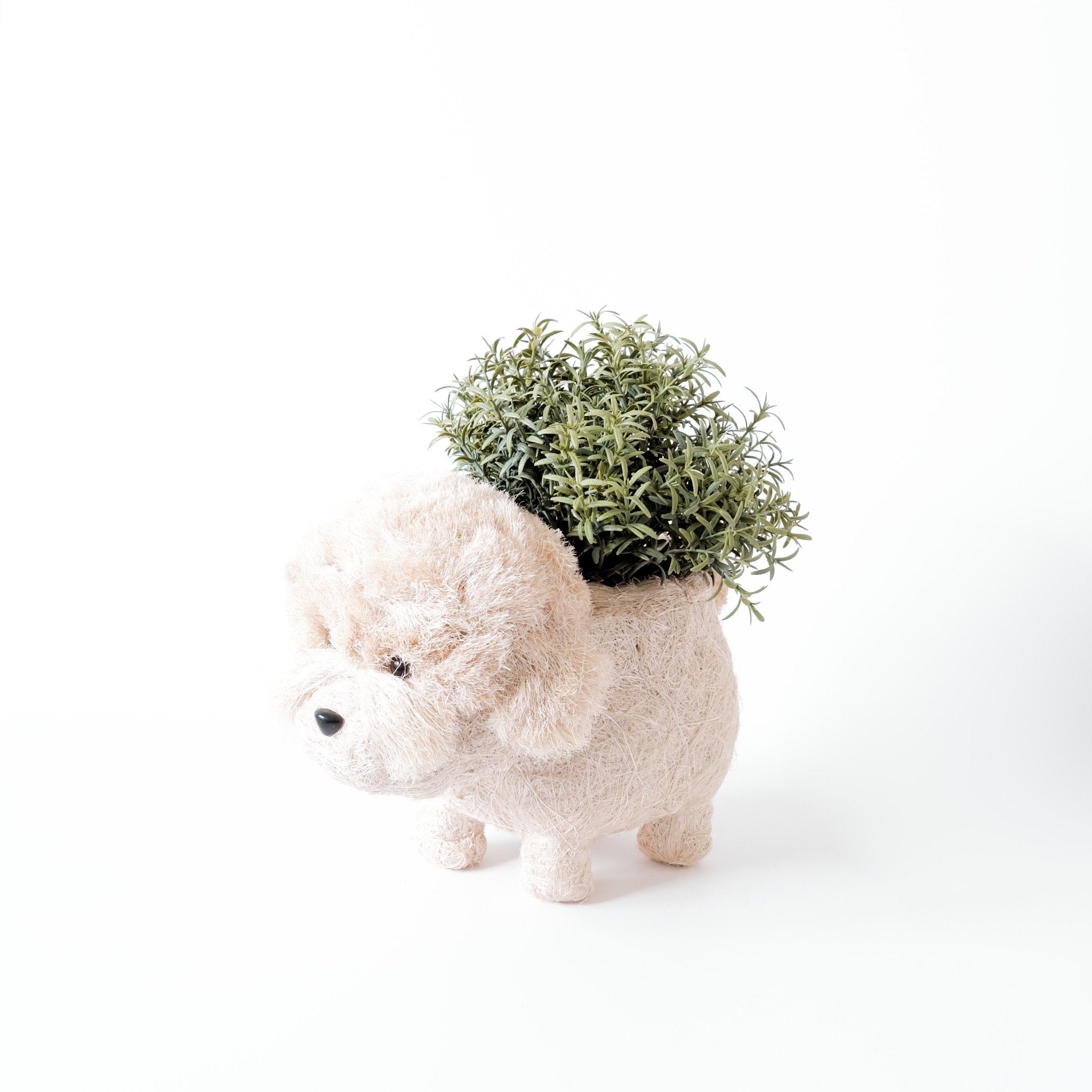LIKHÂ Poodle Planter - Coco Coir Pots | LIKHÂ LIKHÂ | Heirloom Boulevard