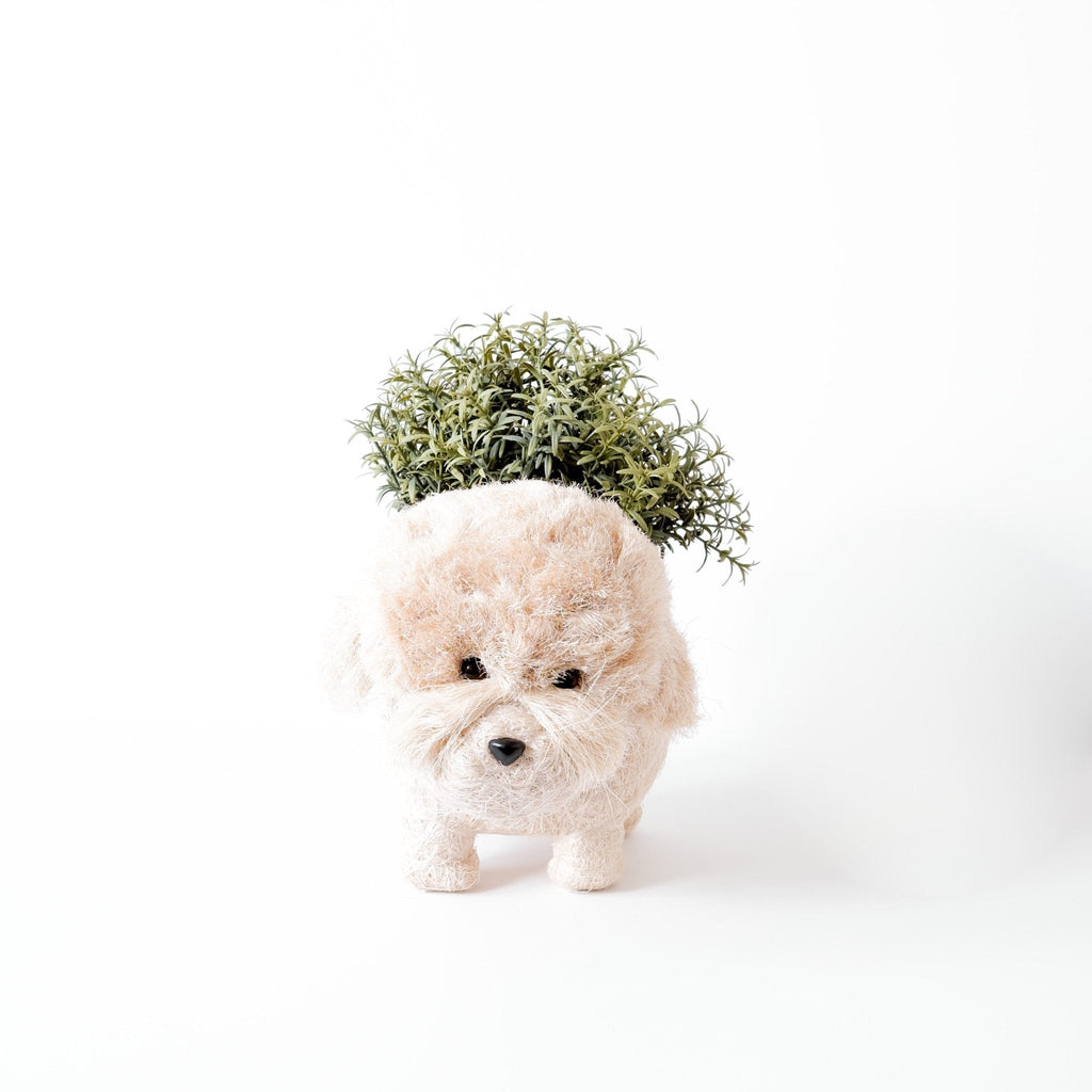 LIKHÂ Poodle Planter - Coco Coir Pots | LIKHÂ LIKHÂ | Heirloom Boulevard