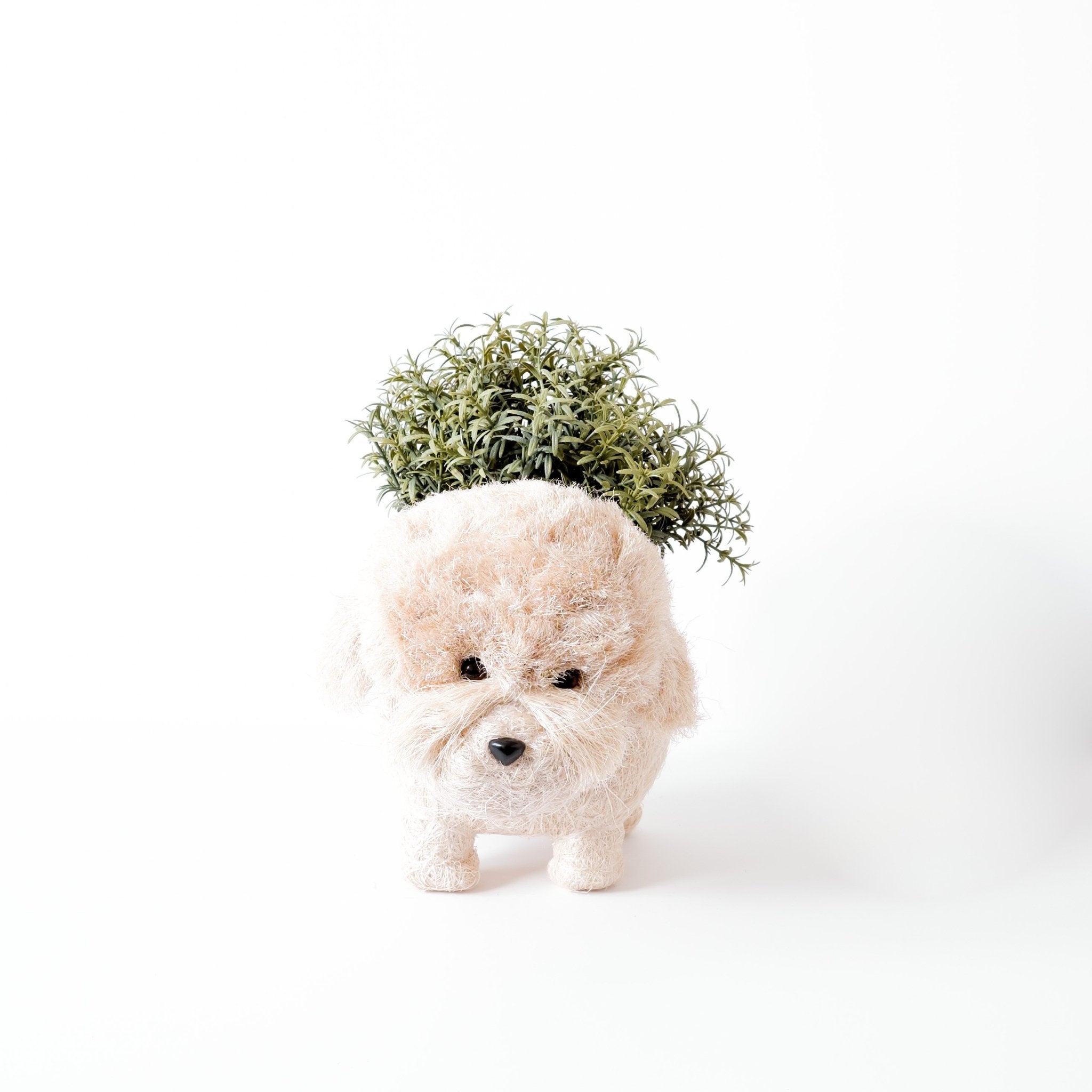 LIKHÂ Poodle Planter - Coco Coir Pots | LIKHÂ LIKHÂ | Heirloom Boulevard