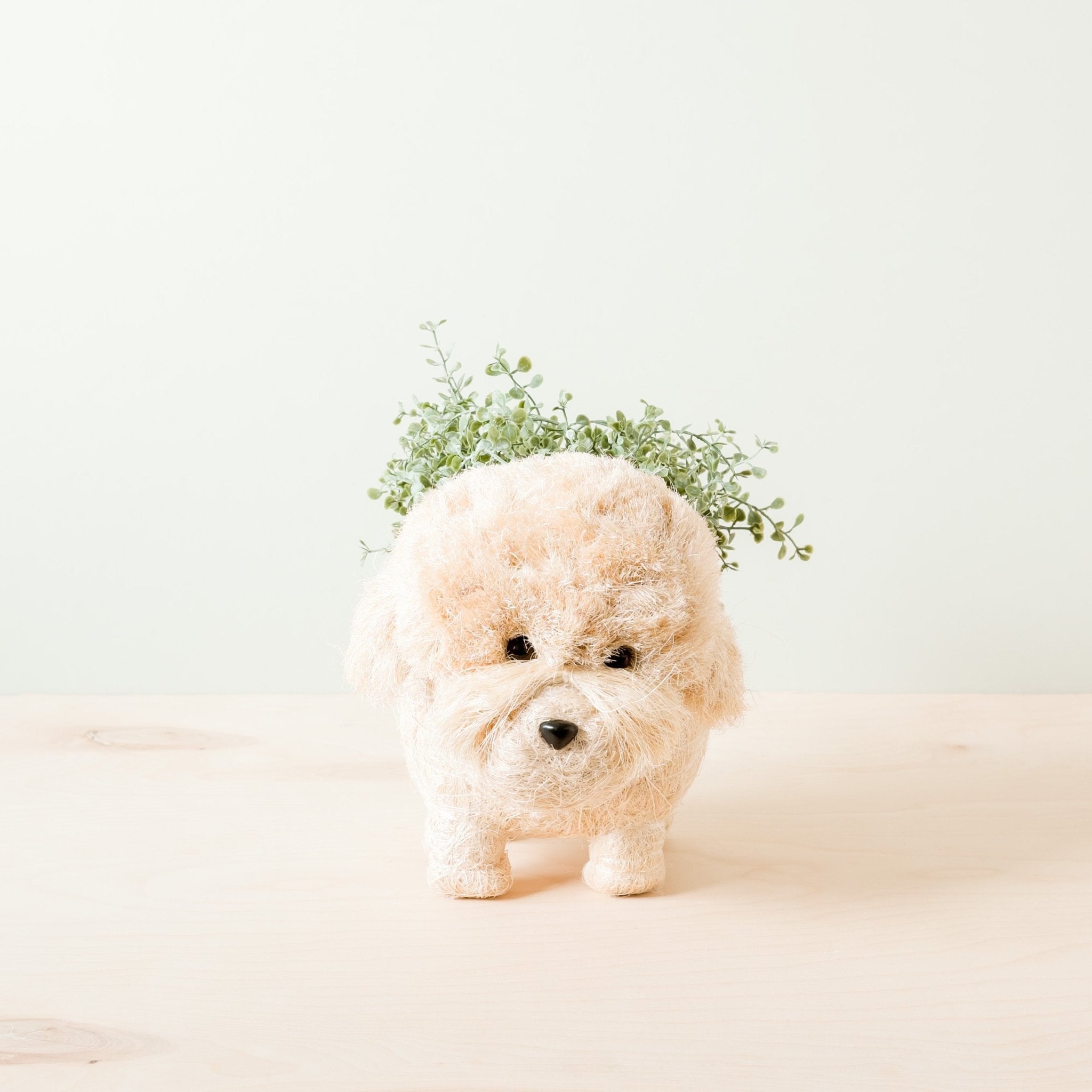 LIKHÂ Poodle Planter - Coco Coir Pots | LIKHÂ LIKHÂ | Heirloom Boulevard