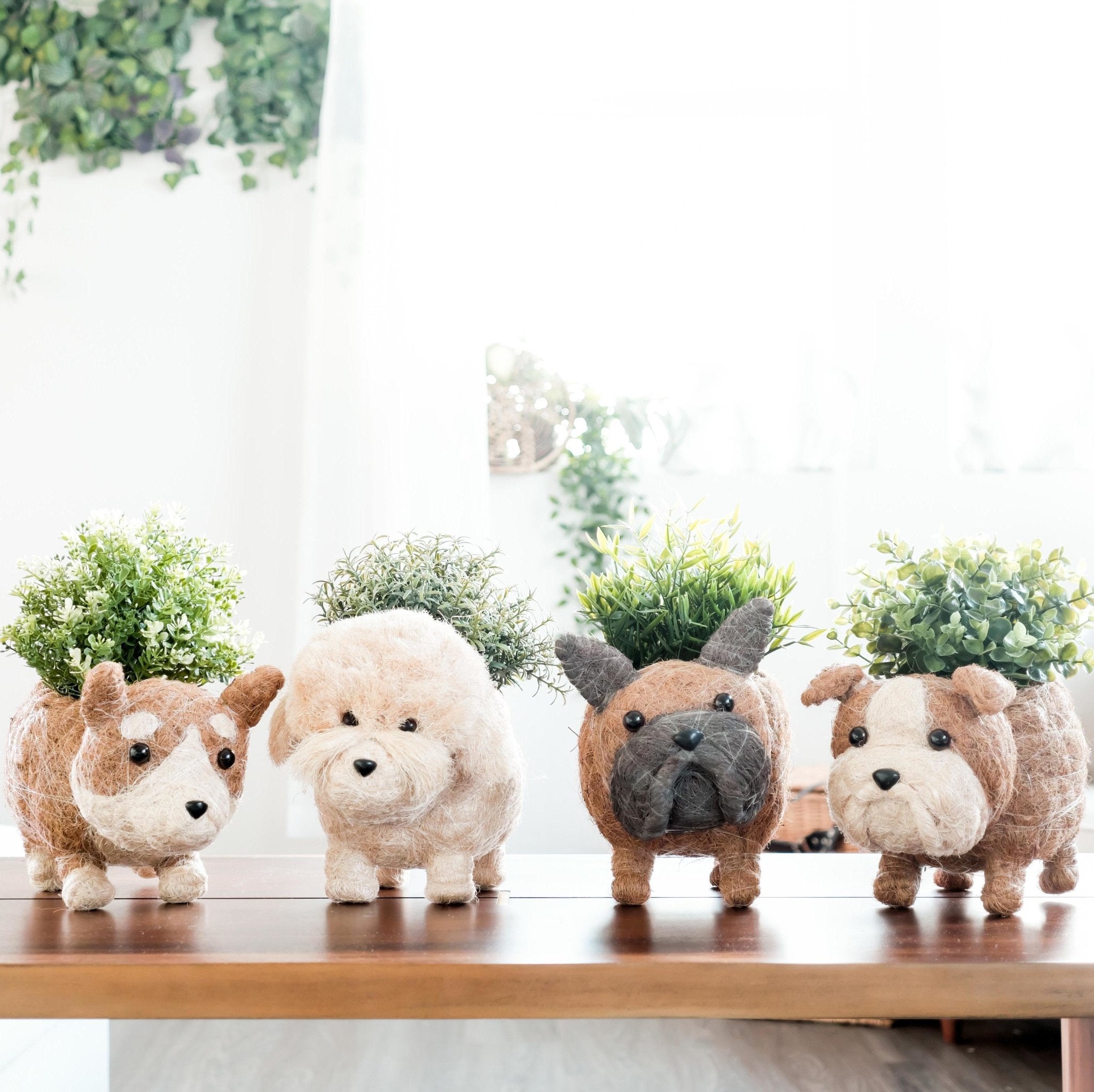 LIKHÂ Poodle Planter - Coco Coir Pots | LIKHÂ LIKHÂ | Heirloom Boulevard