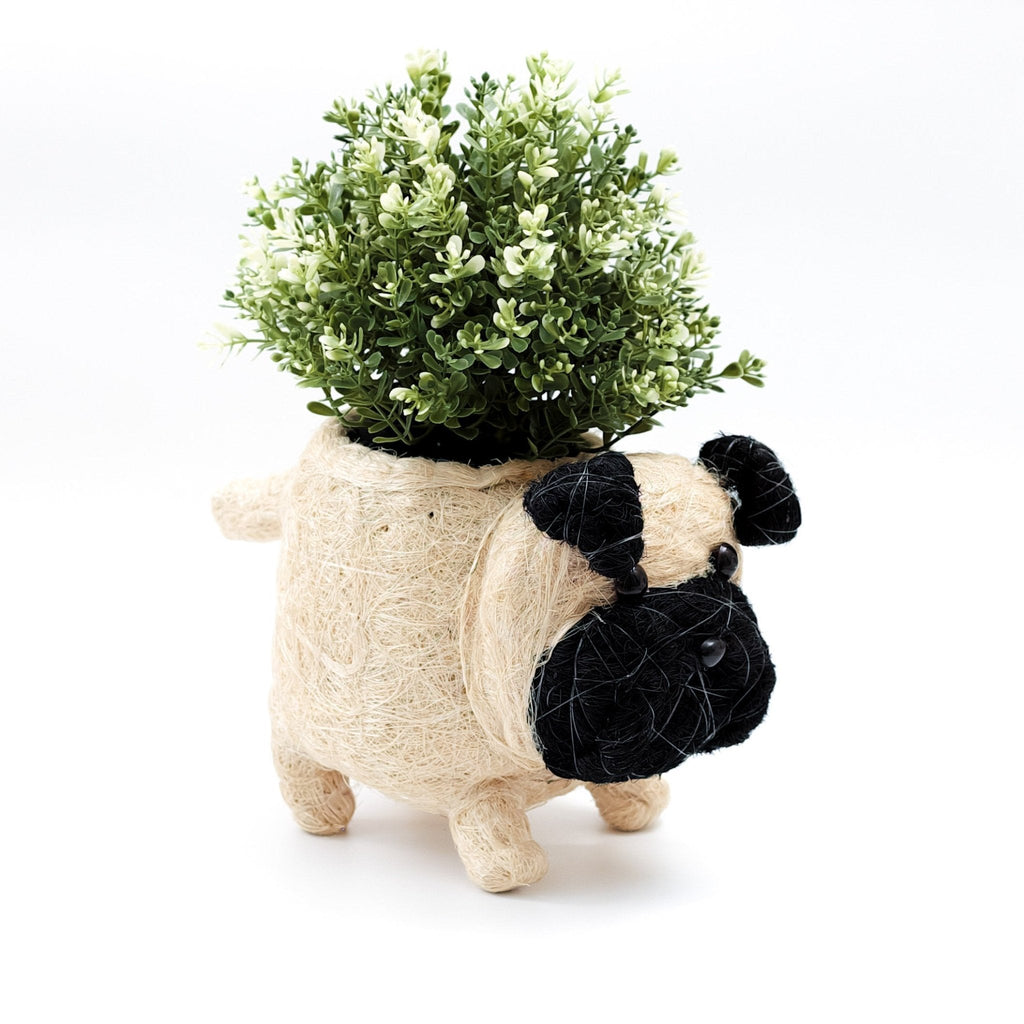 LIKHÂ Pug Planter - Coco Coir Pots | LIKHÂ LIKHÂ | Heirloom Boulevard