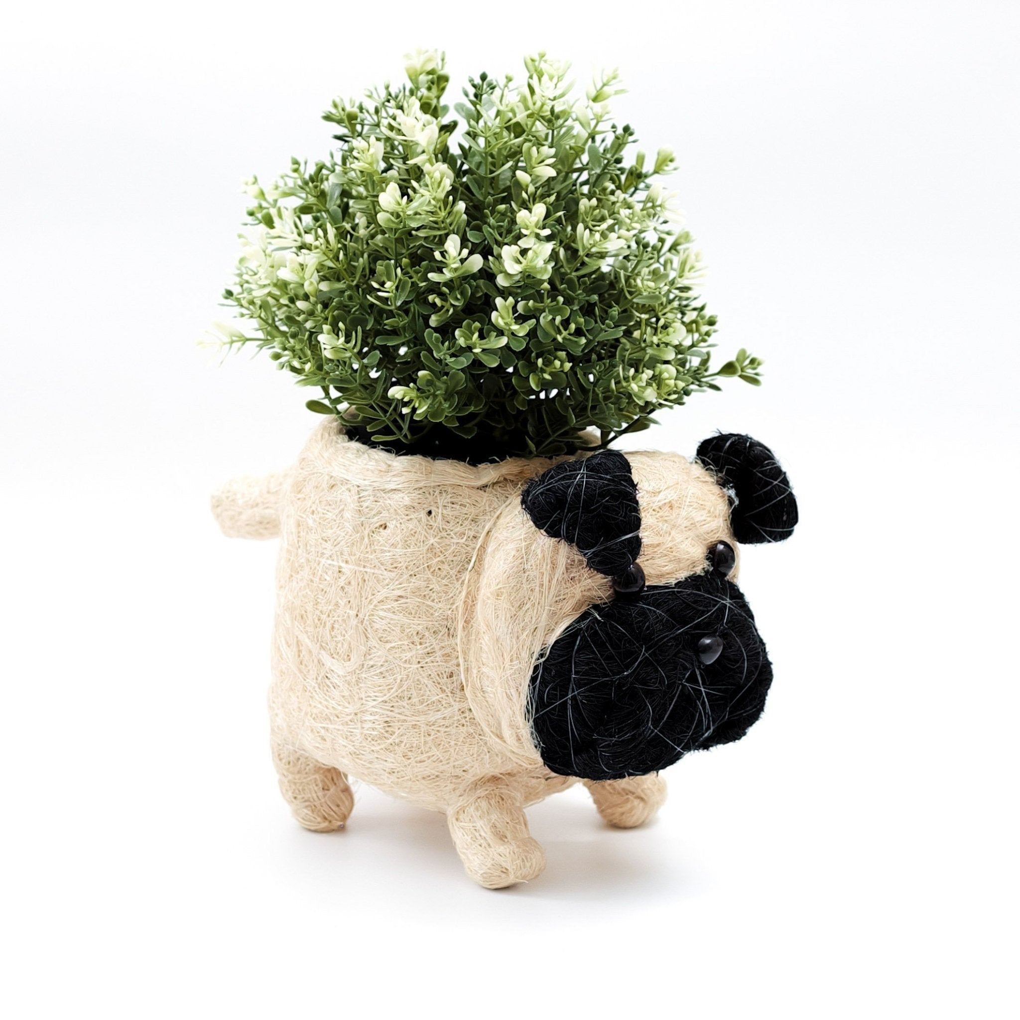 LIKHÂ Pug Planter - Coco Coir Pots | LIKHÂ LIKHÂ | Heirloom Boulevard