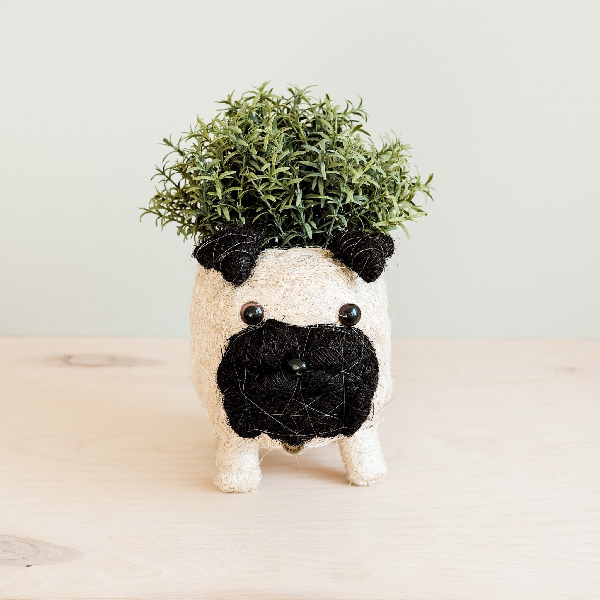 LIKHÂ Pug Planter - Coco Coir Pots | LIKHÂ LIKHÂ | Heirloom Boulevard