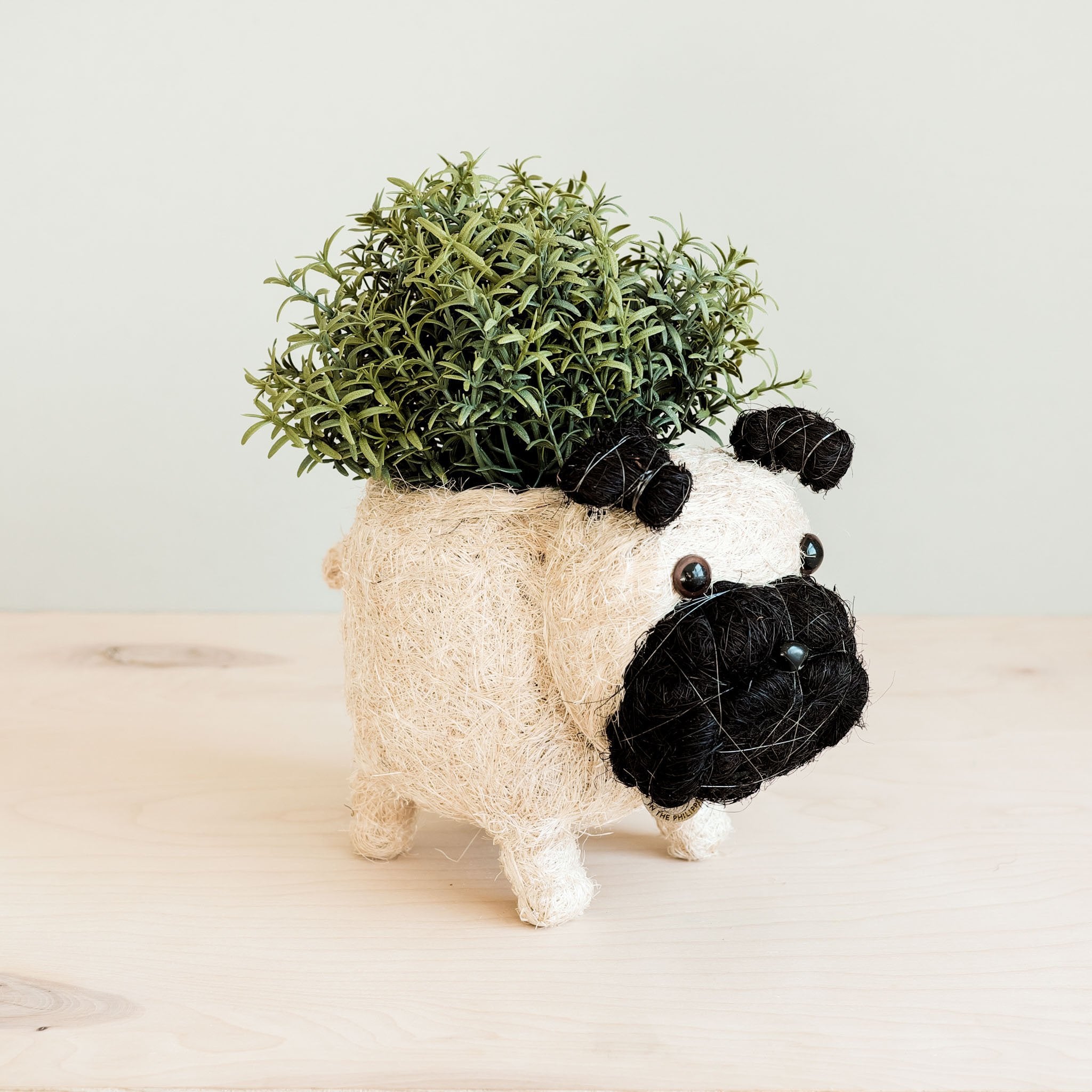 LIKHÂ Pug Planter - Coco Coir Pots | LIKHÂ LIKHÂ | Heirloom Boulevard